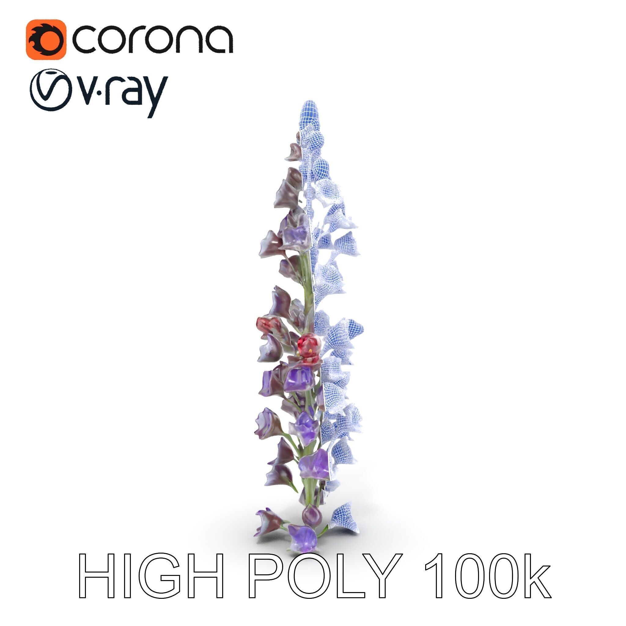 Lavender Flower Model Pack  Detailed PBR Textures Low-poly 3D model_24