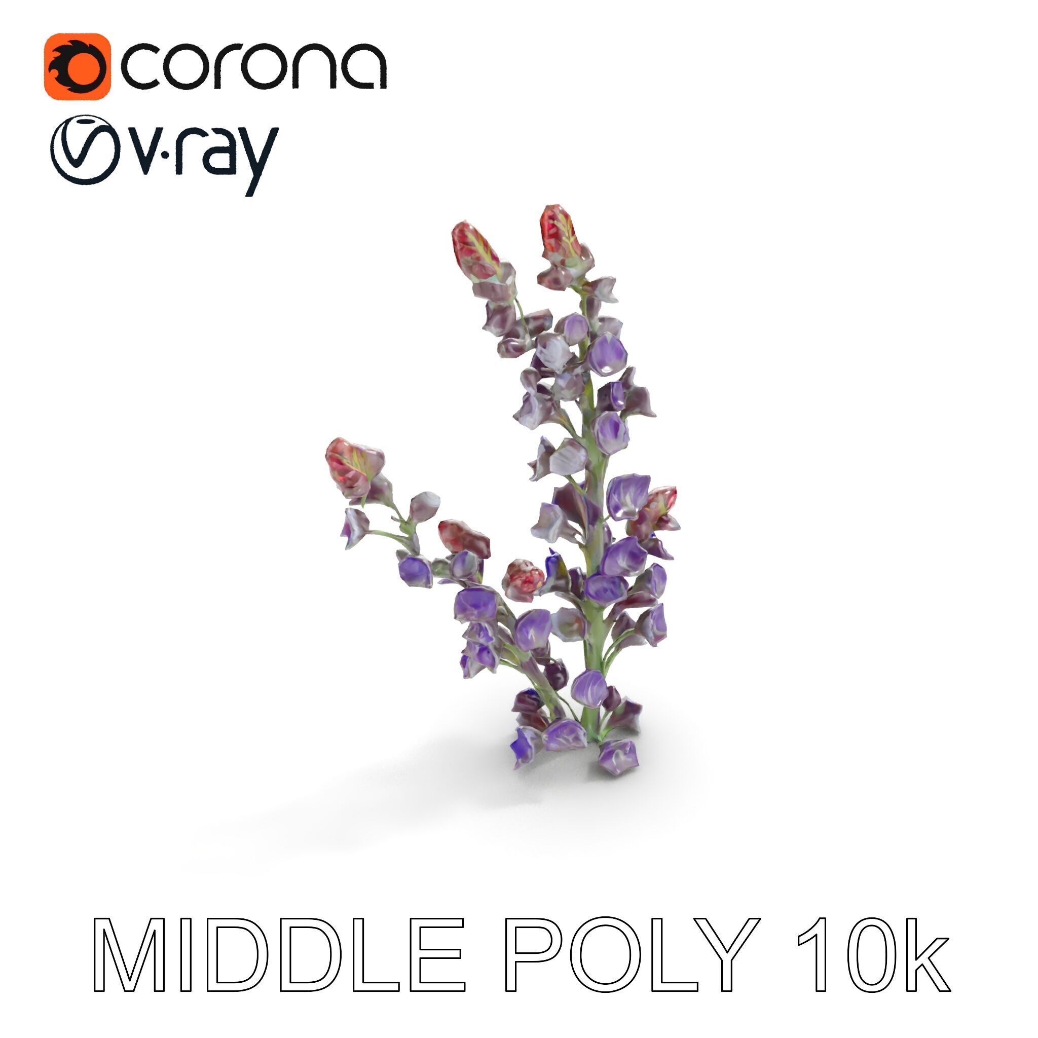 Lavender Flower Model Pack  Detailed PBR Textures Low-poly 3D model_25