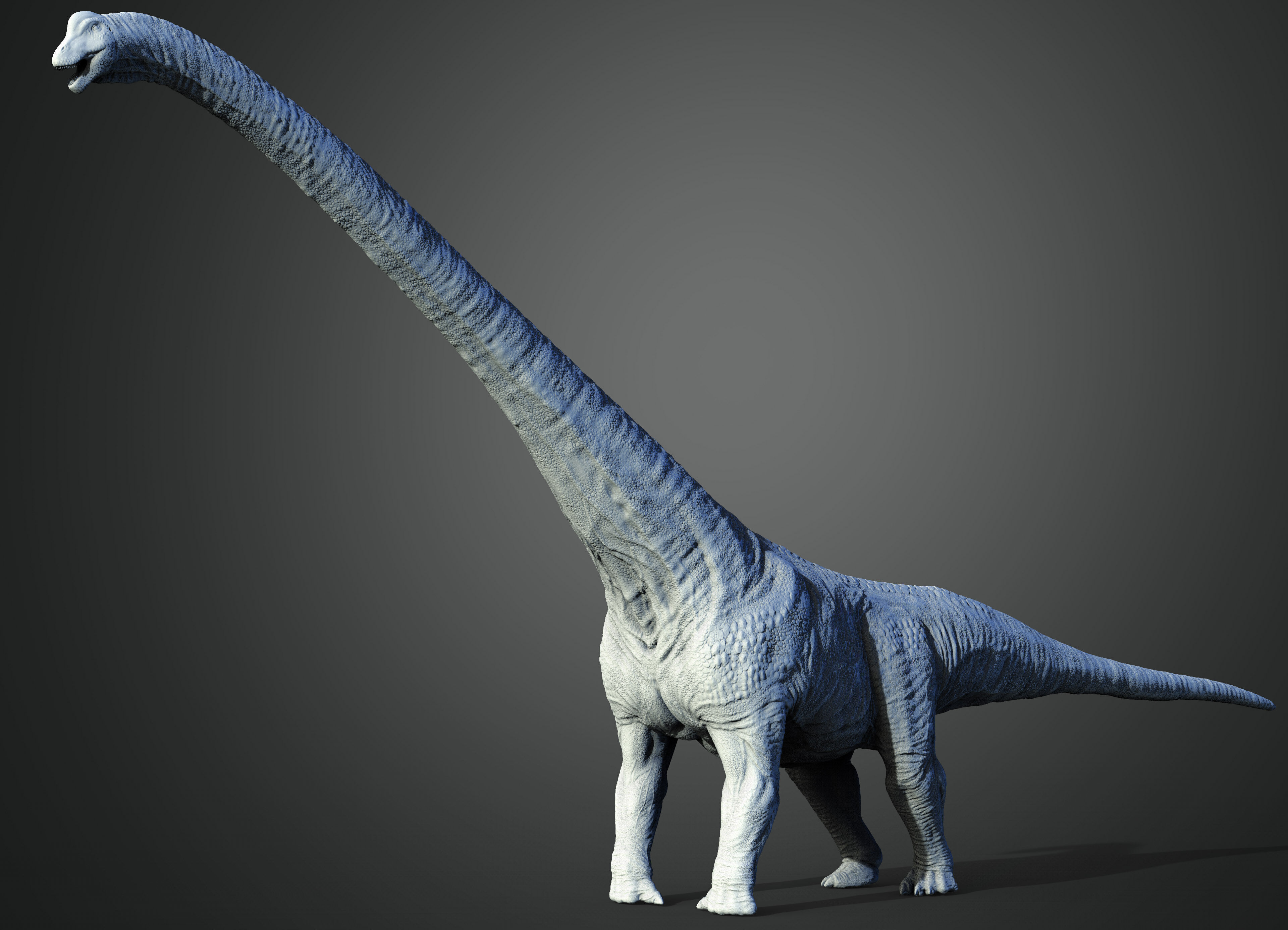 Mamenchisaurus The Long-Necked Giant of Jurassic China 3D print model_1