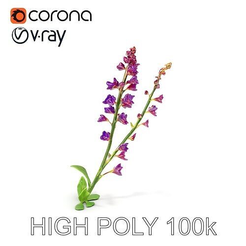 Lavender Flower Model Pack for Realistic Visualizations Low-poly 3D model