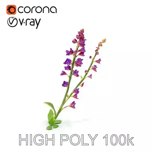 Lavender Flower Model Pack for Realistic Visualizations