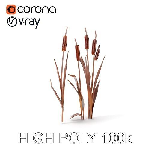 Cattail Plants D Model Pack Low-poly 3D model