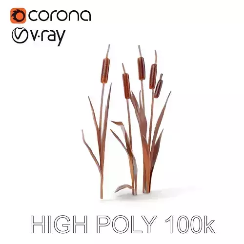 Cattail Plants D Model Pack Low-poly 3D model