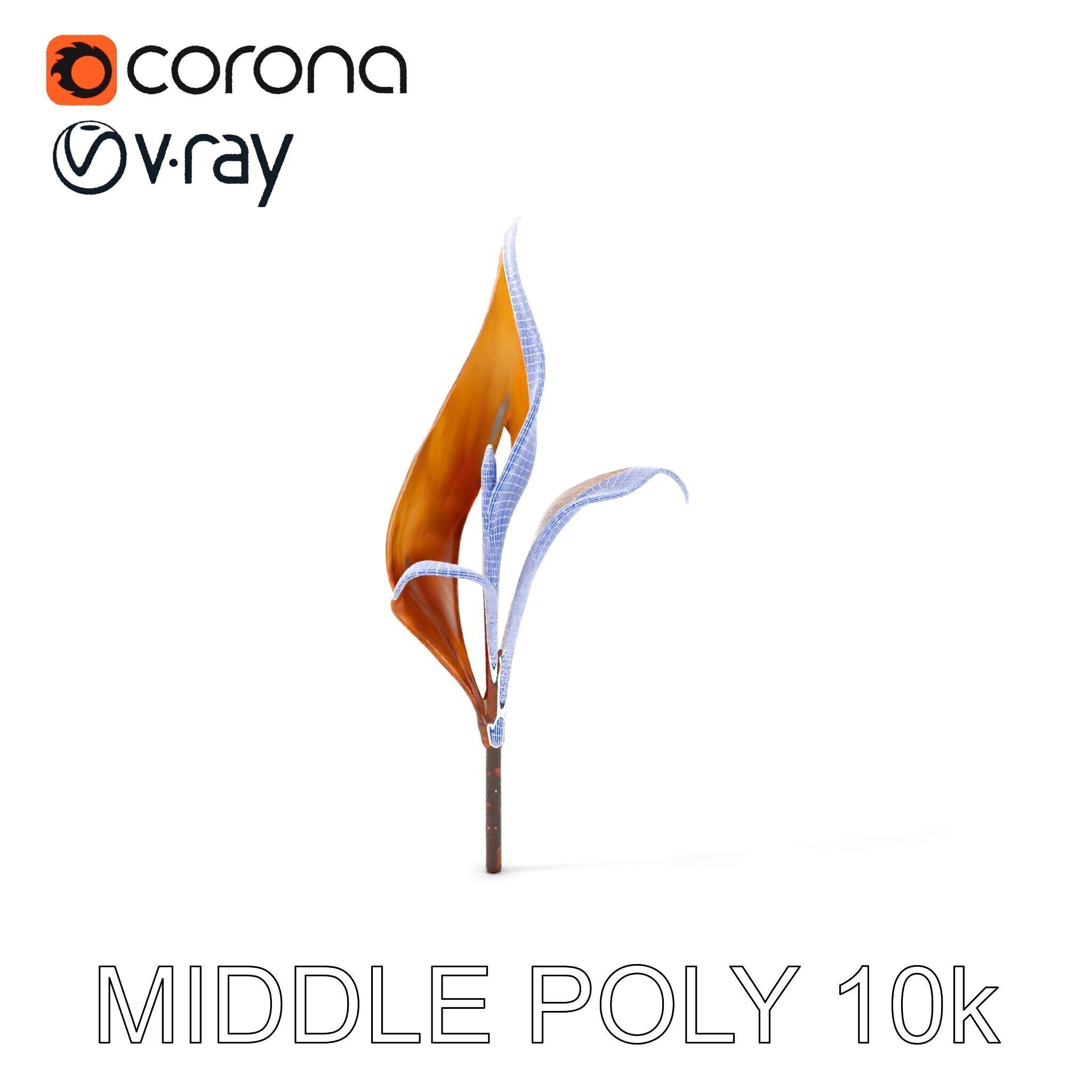 Abstract Leaf Model Pack with Organic Curves Low-poly 3D model_8