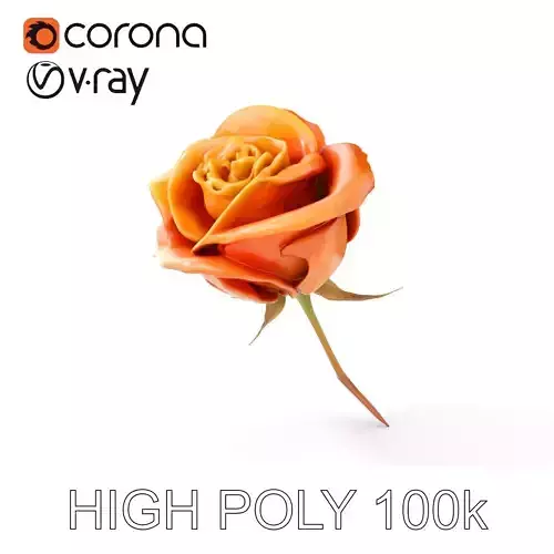 Rose Model Pack  Detailed Floral Asset Low-poly 3D model