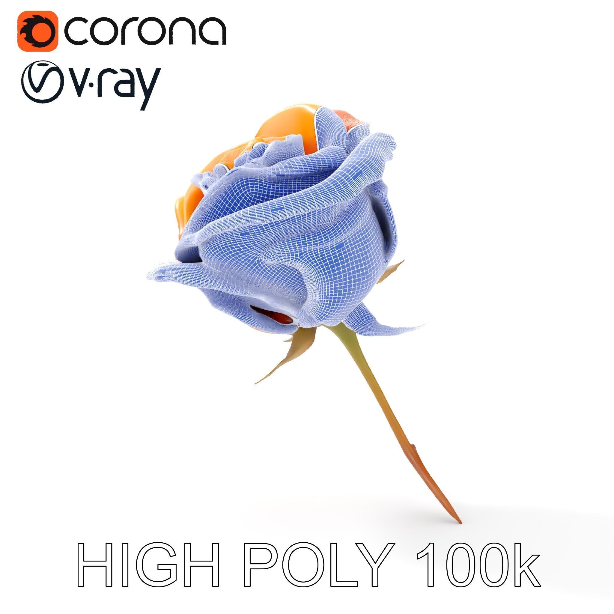 Rose Model Pack  Detailed Floral Asset Low-poly 3D model_29