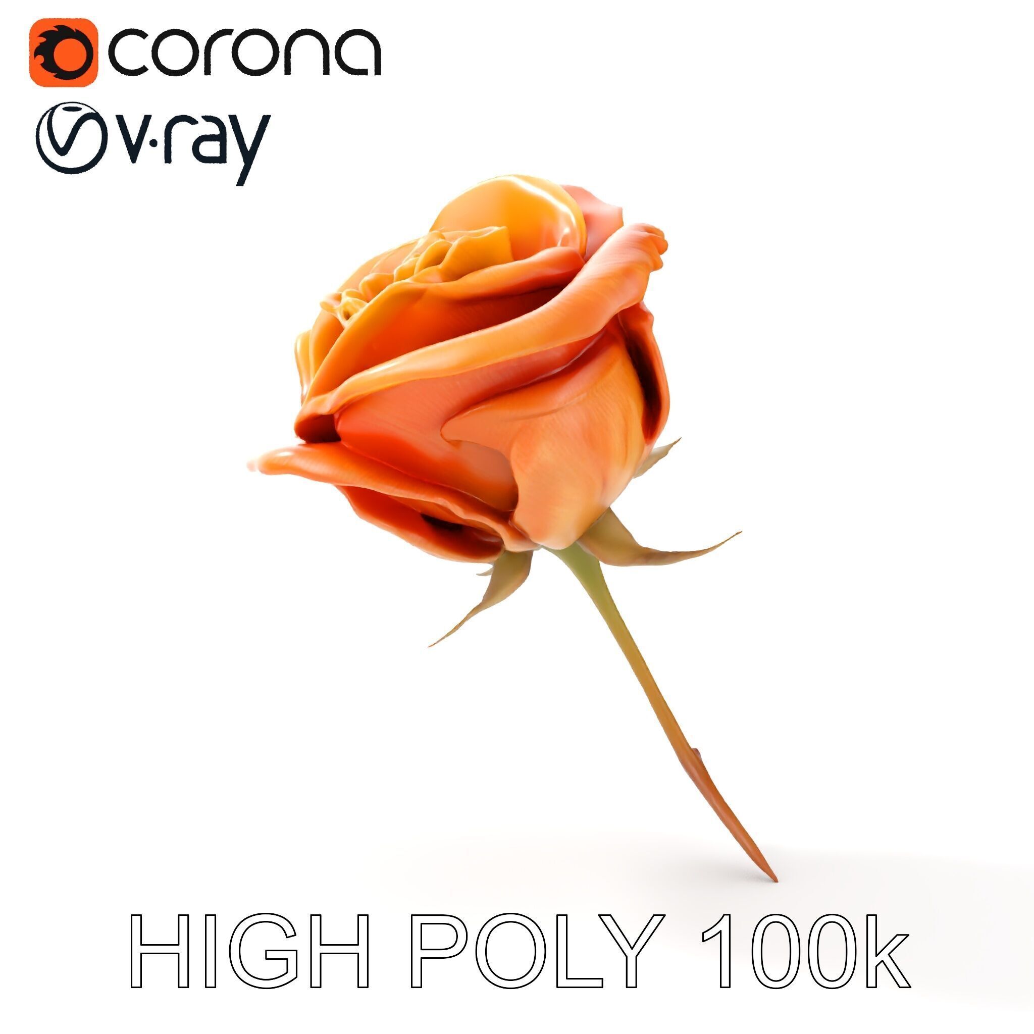 Rose Model Pack  Detailed Floral Asset Low-poly 3D model_23