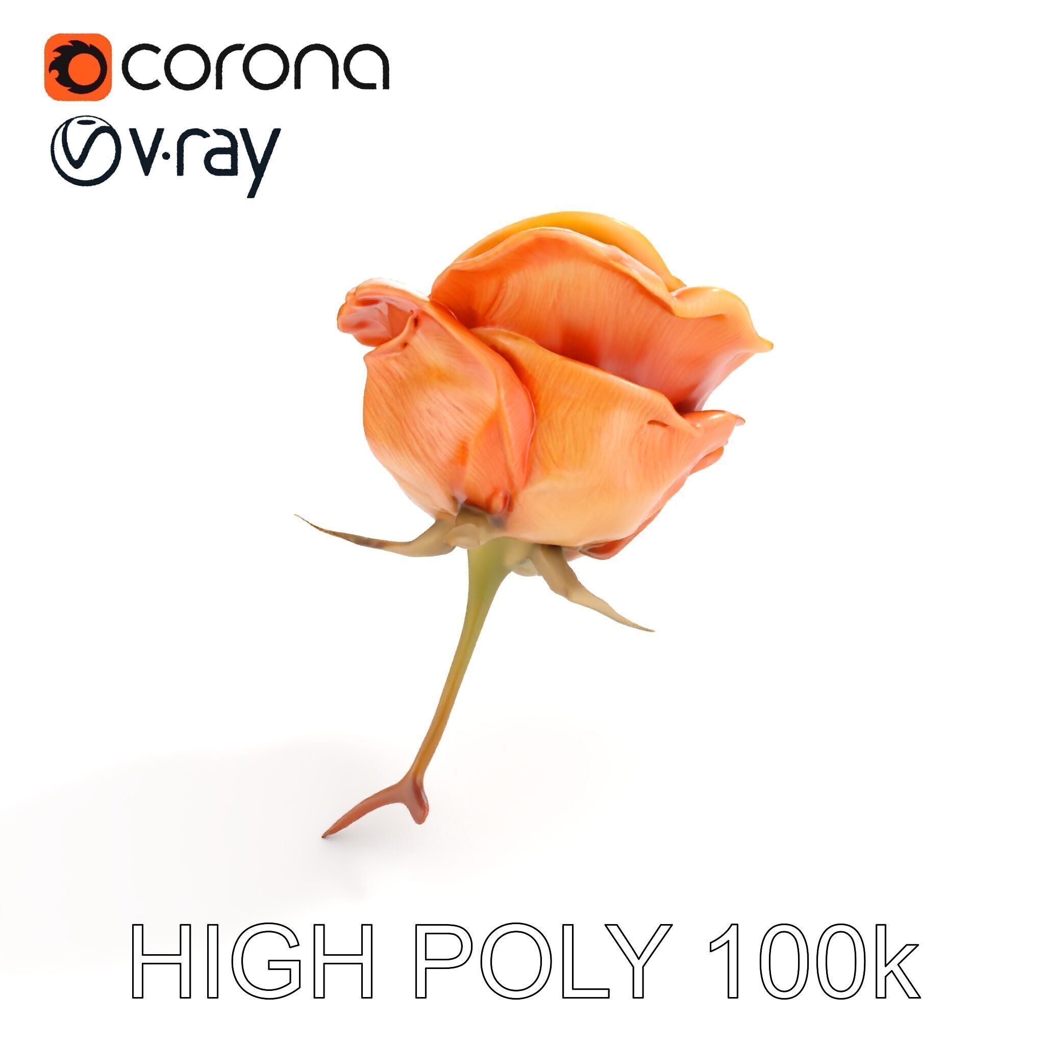 Rose Model Pack  Detailed Floral Asset Low-poly 3D model_20