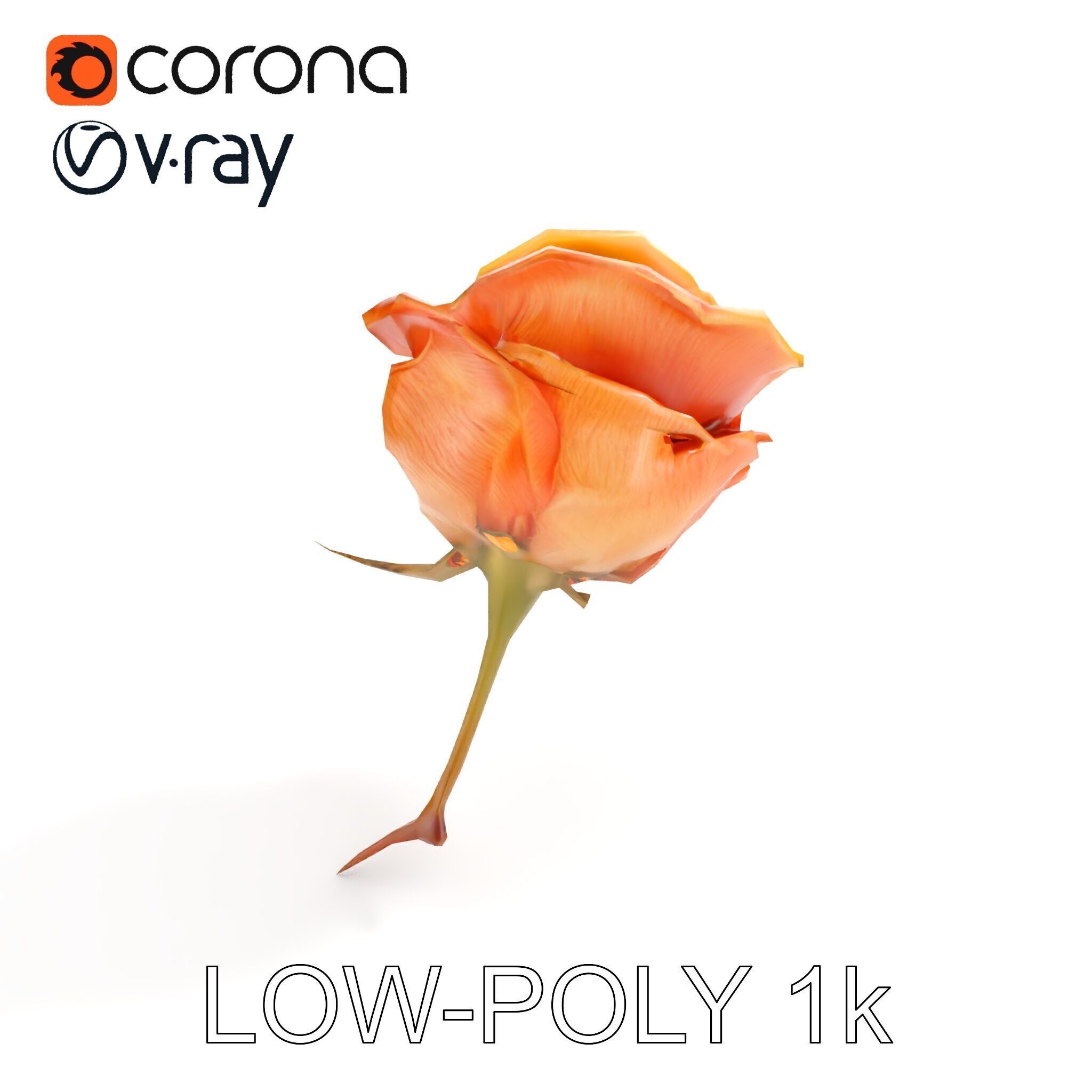 Rose Model Pack  Detailed Floral Asset Low-poly 3D model_9