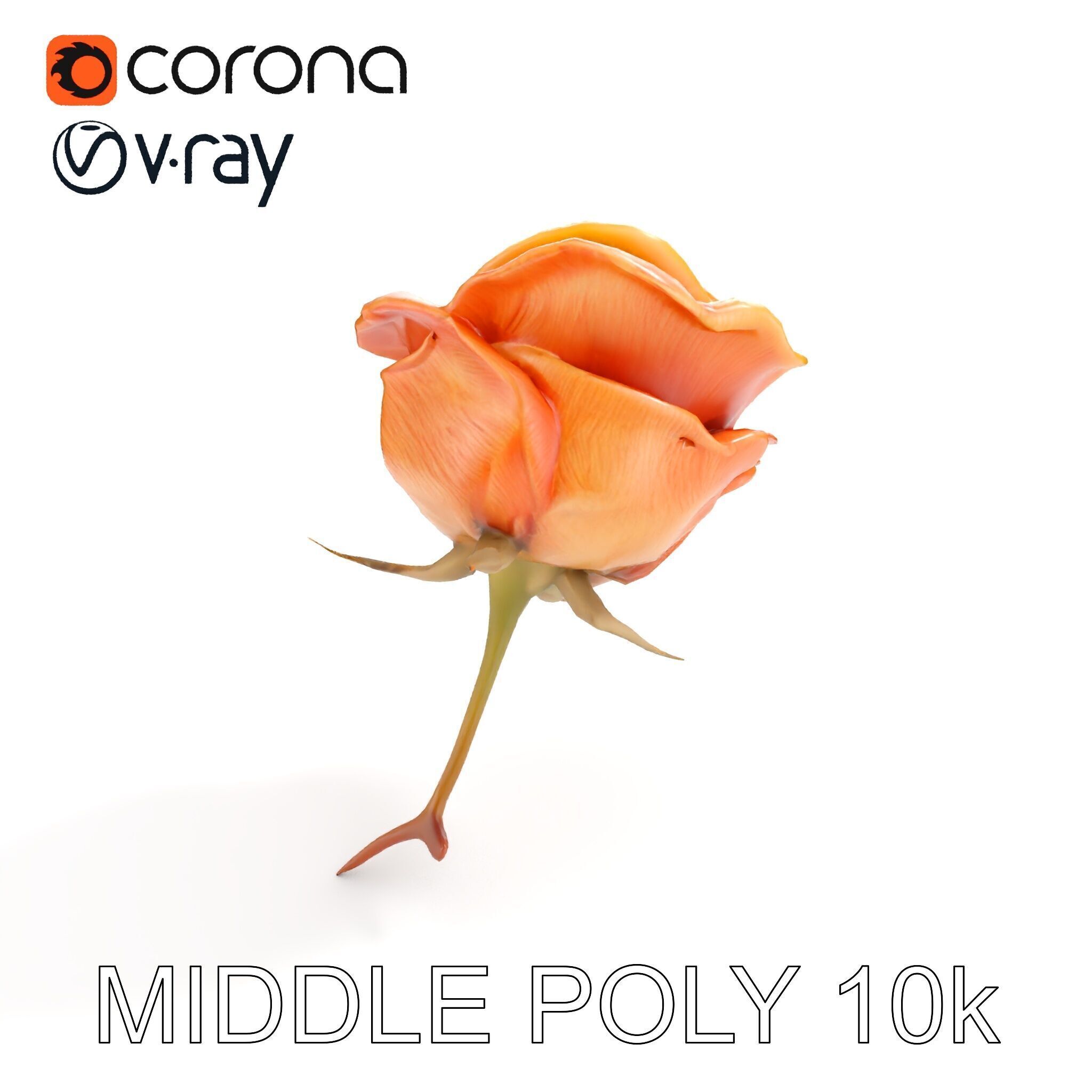 Rose Model Pack  Detailed Floral Asset Low-poly 3D model_6