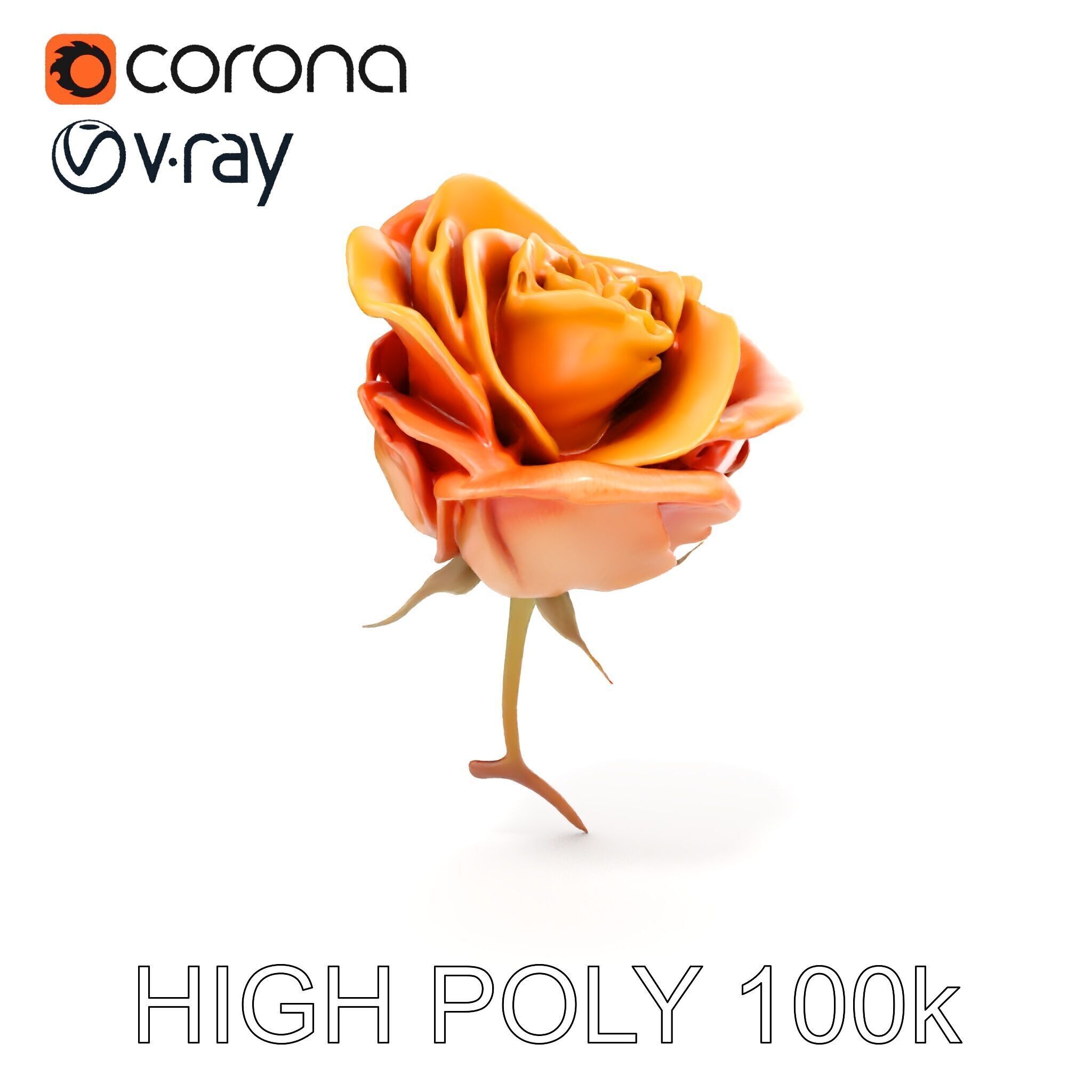Rose Model Pack  Detailed Floral Asset Low-poly 3D model_13