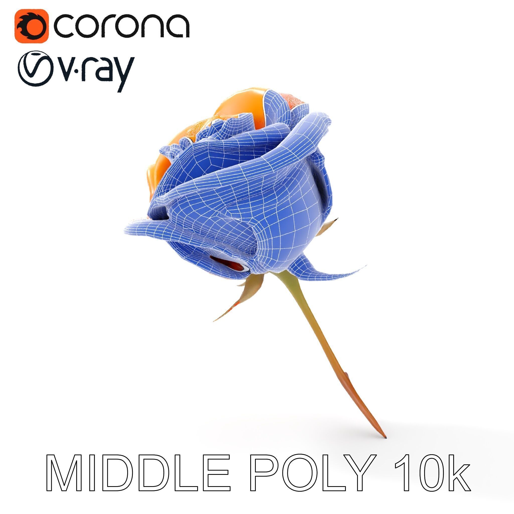 Rose Model Pack  Detailed Floral Asset Low-poly 3D model_27