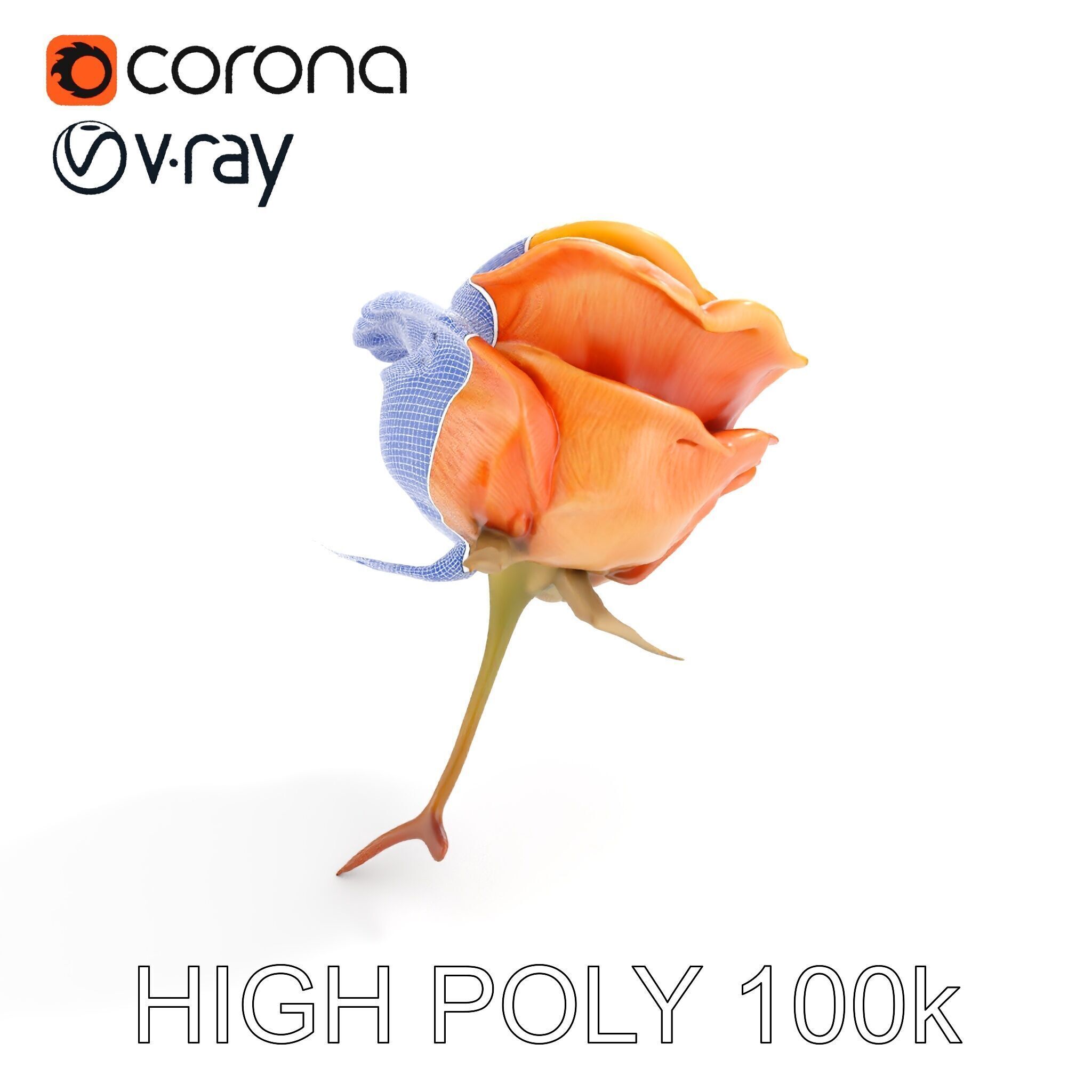 Rose Model Pack  Detailed Floral Asset Low-poly 3D model_32