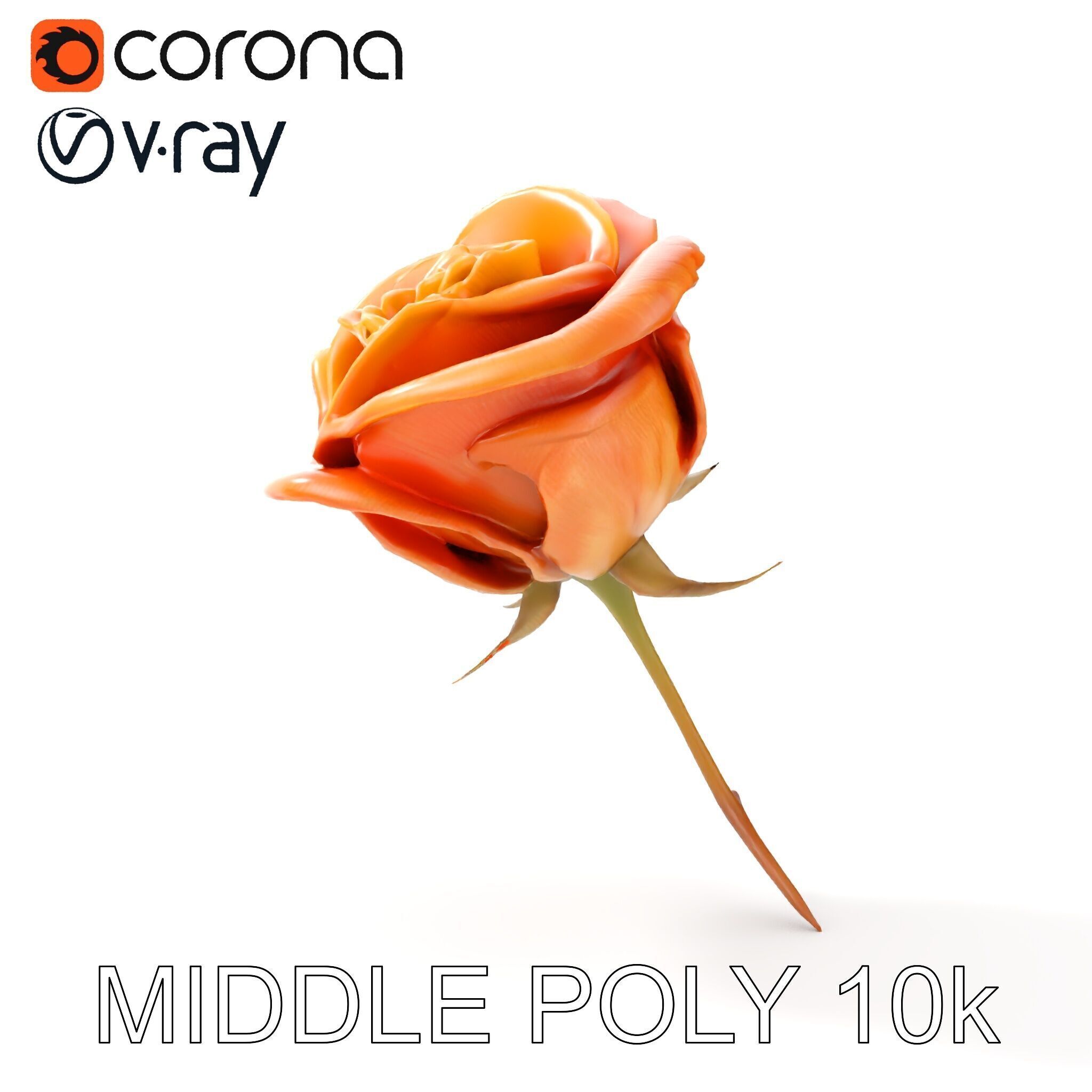 Rose Model Pack  Detailed Floral Asset Low-poly 3D model_14
