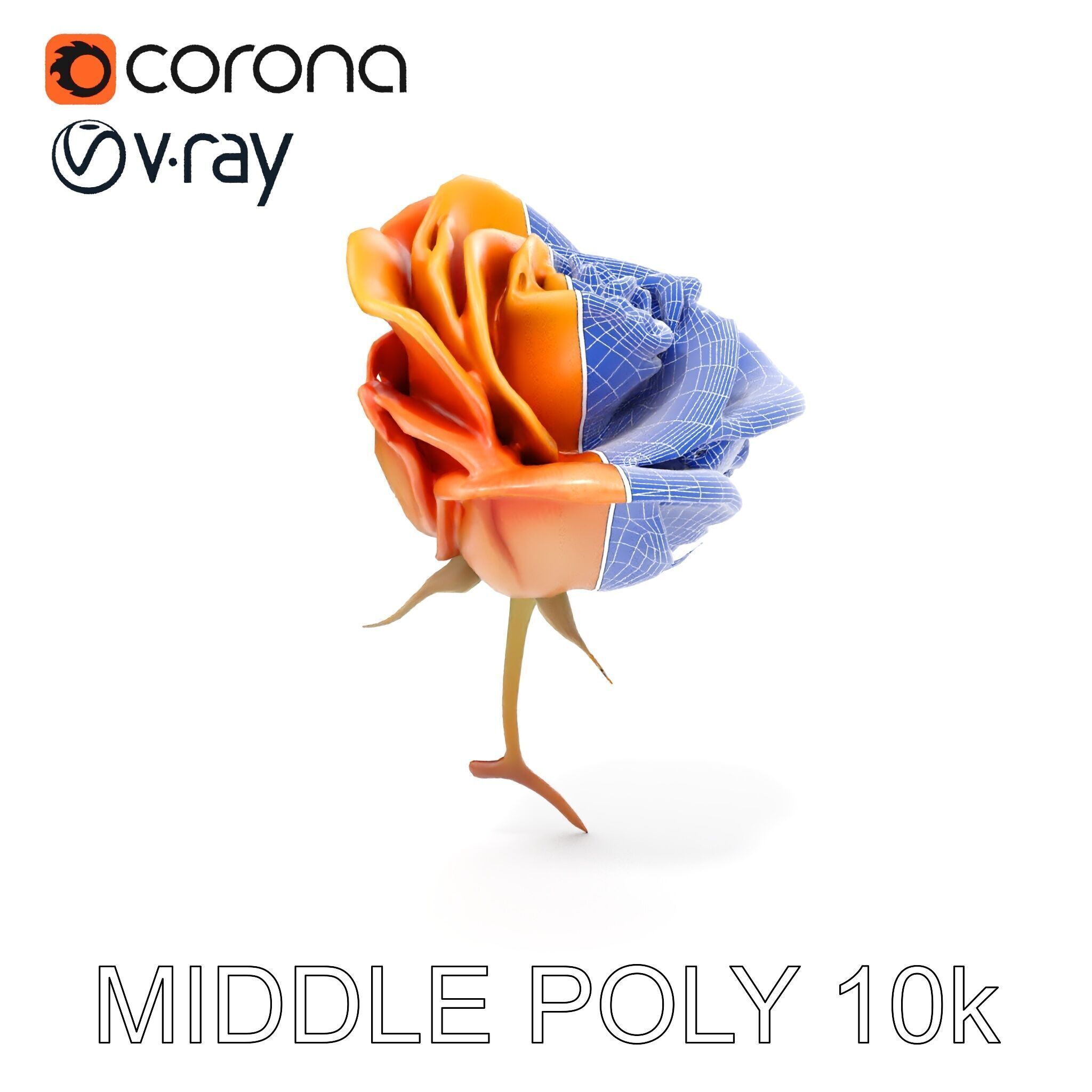 Rose Model Pack  Detailed Floral Asset Low-poly 3D model_24