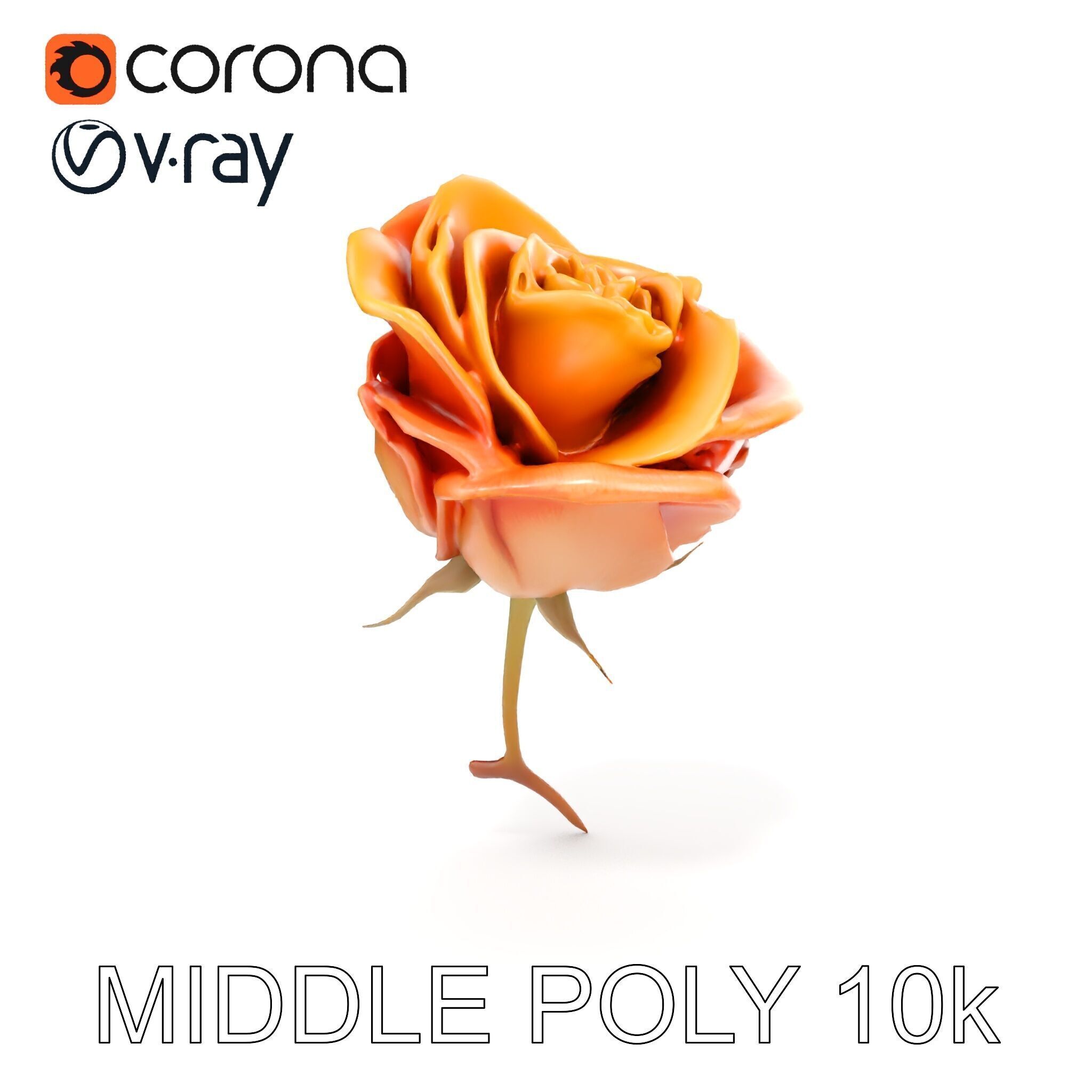 Rose Model Pack  Detailed Floral Asset Low-poly 3D model_16