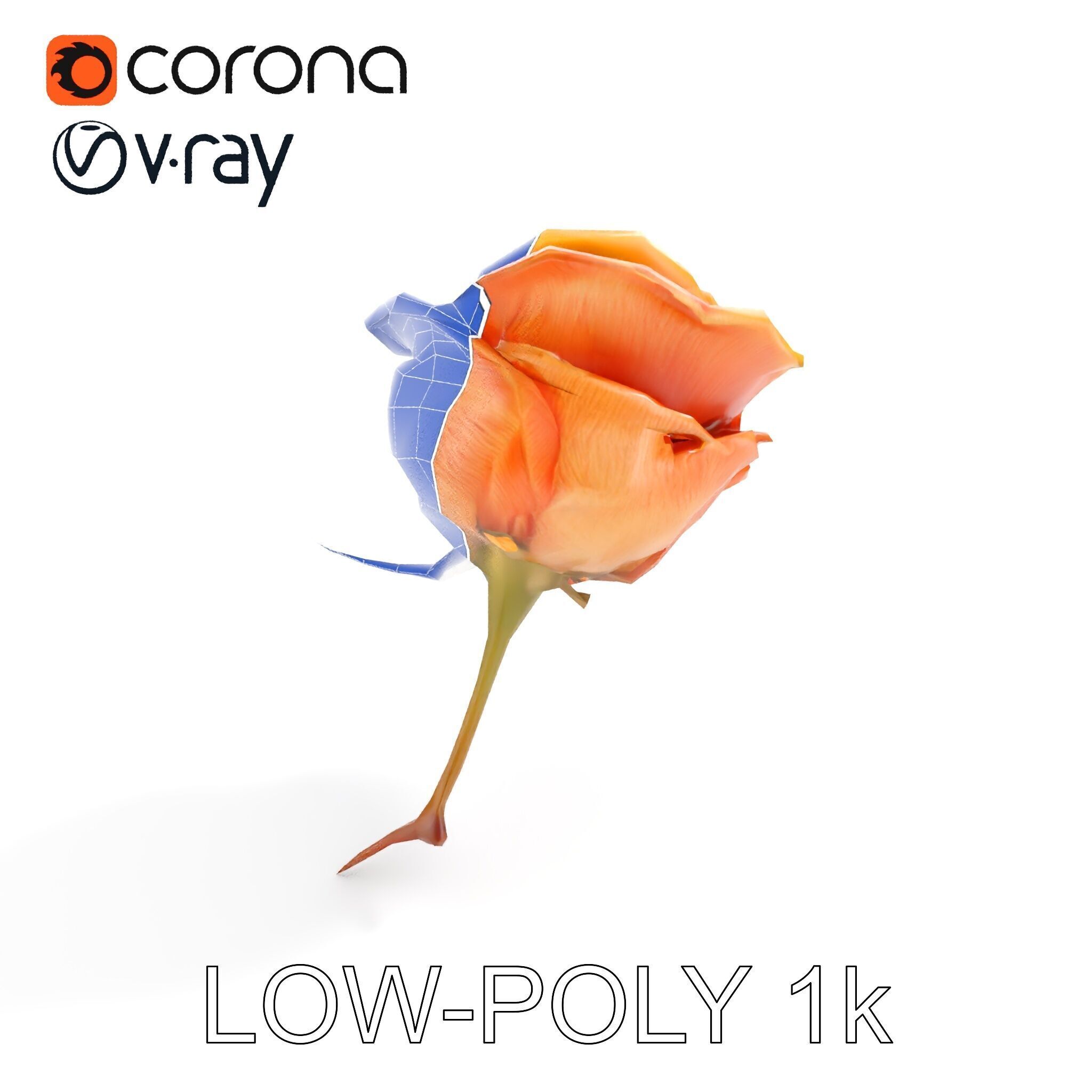 Rose Model Pack  Detailed Floral Asset Low-poly 3D model_25