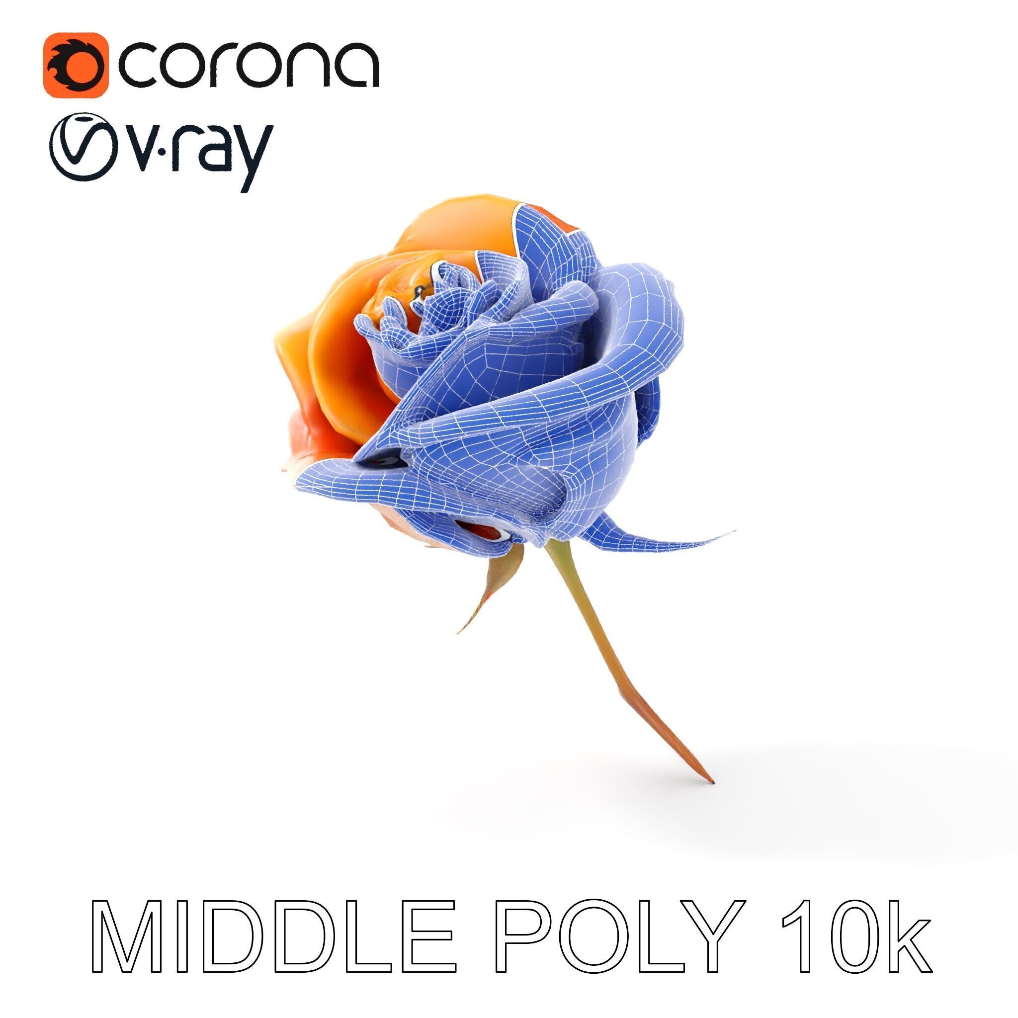 Rose Model Pack  Detailed Floral Asset Low-poly 3D model_21
