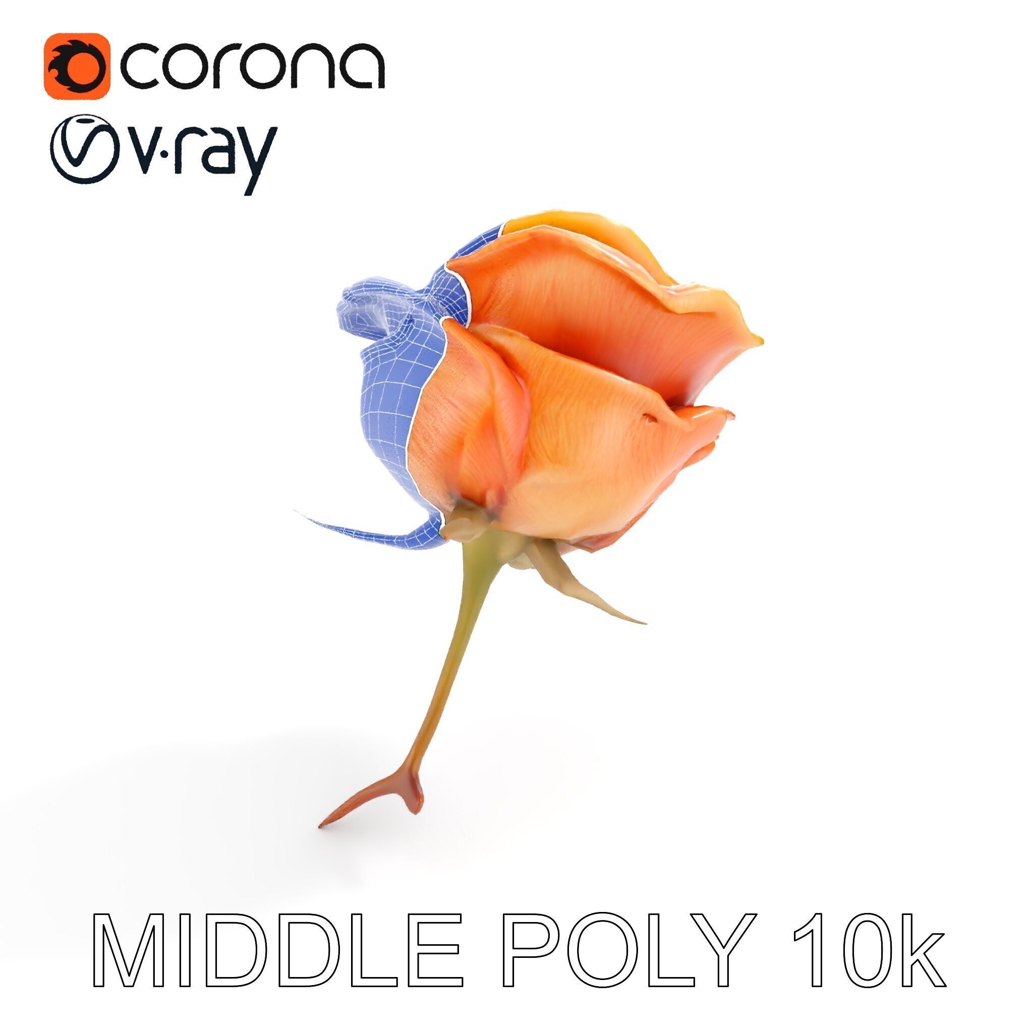 Rose Model Pack  Detailed Floral Asset Low-poly 3D model_18
