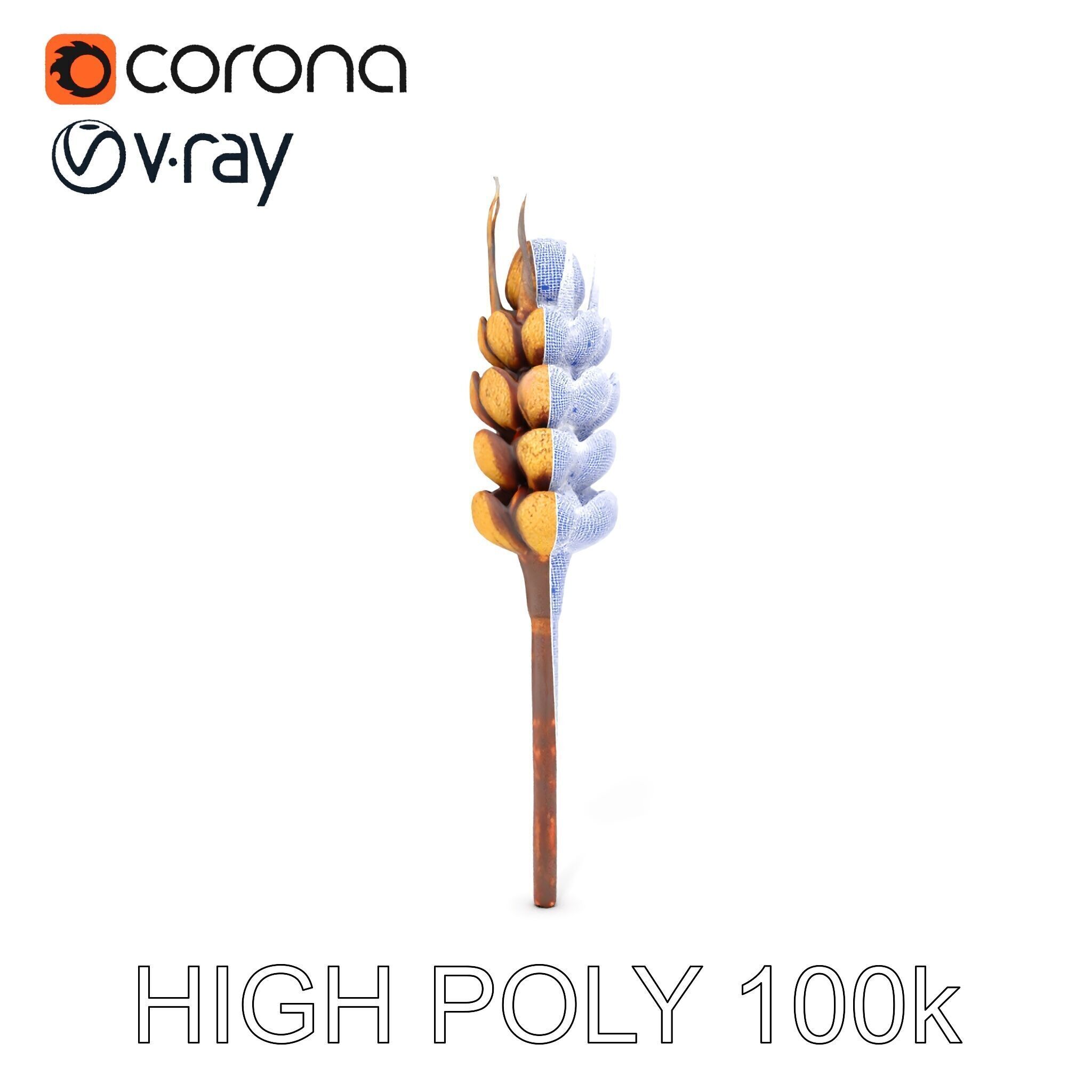 Detailed Wheat Ear Model Pack for Realistic Rendering Low-poly 3D model_23