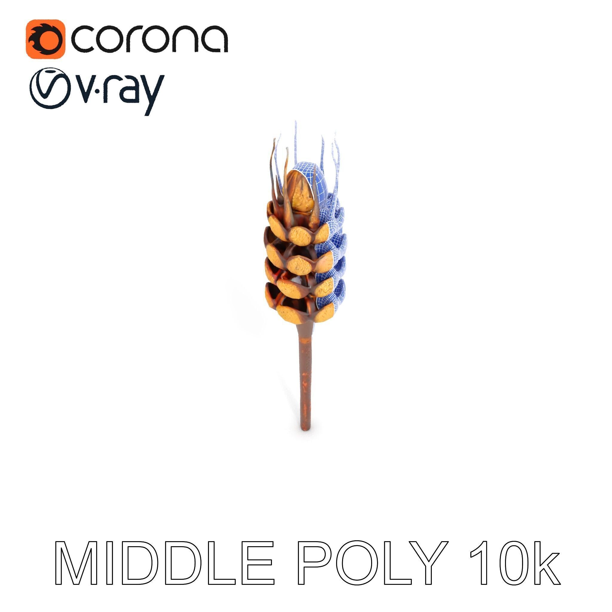 Detailed Wheat Ear Model Pack for Realistic Rendering Low-poly 3D model_15