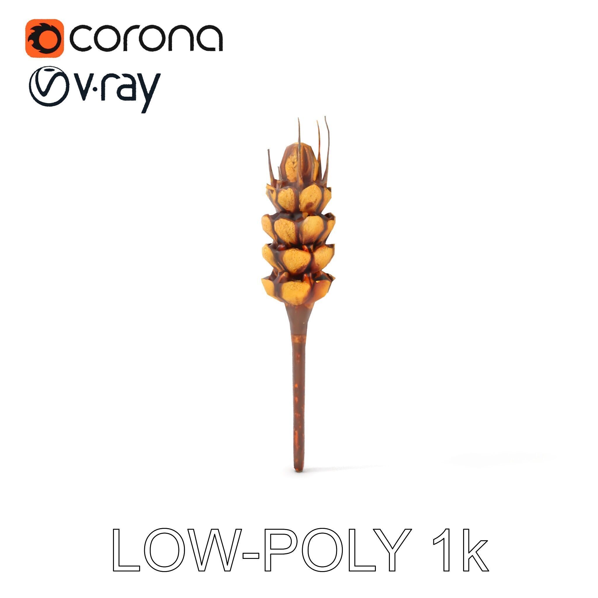 Detailed Wheat Ear Model Pack for Realistic Rendering Low-poly 3D model_11