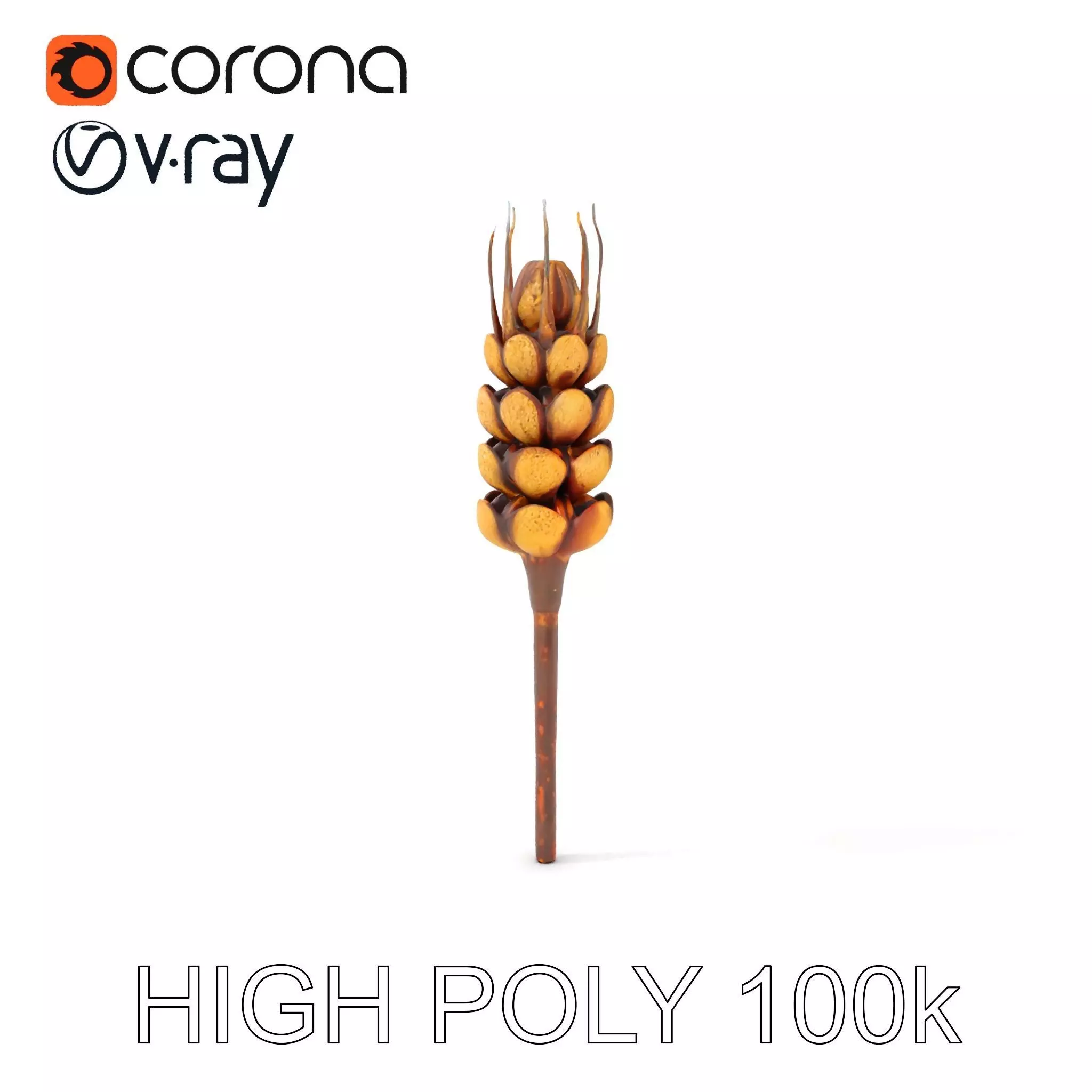 Detailed Wheat Ear Model Pack for Realistic Rendering Low-poly 3D model_0