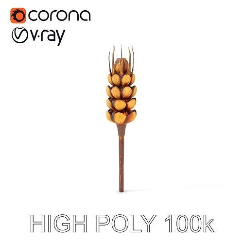 Detailed Wheat Ear Model Pack for Realistic Rendering Low-poly 3D model
