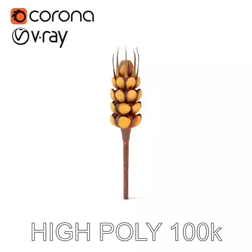 Detailed Wheat Ear Model Pack for Realistic Rendering Low-poly 3D model