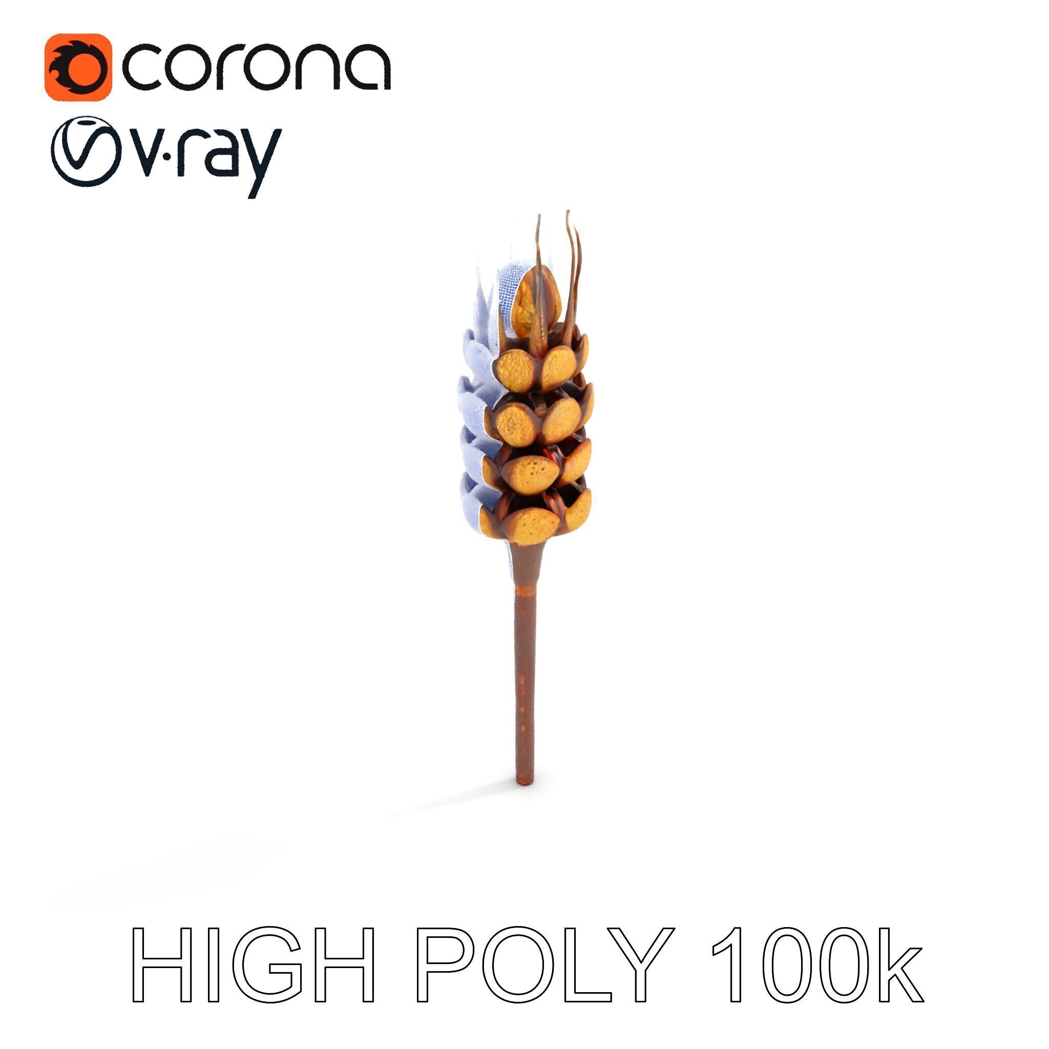 Detailed Wheat Ear Model Pack for Realistic Rendering Low-poly 3D model_35