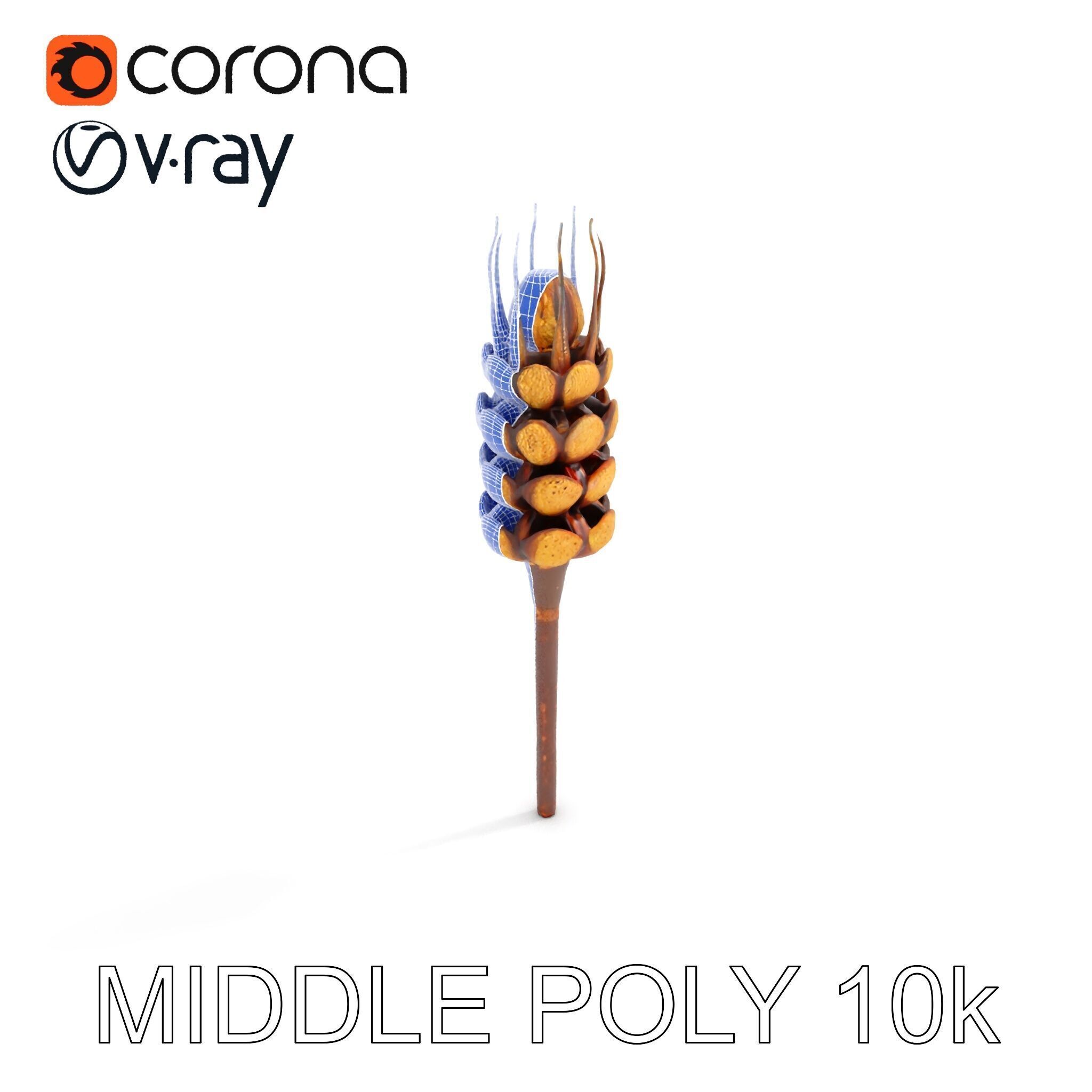 Detailed Wheat Ear Model Pack for Realistic Rendering Low-poly 3D model_21