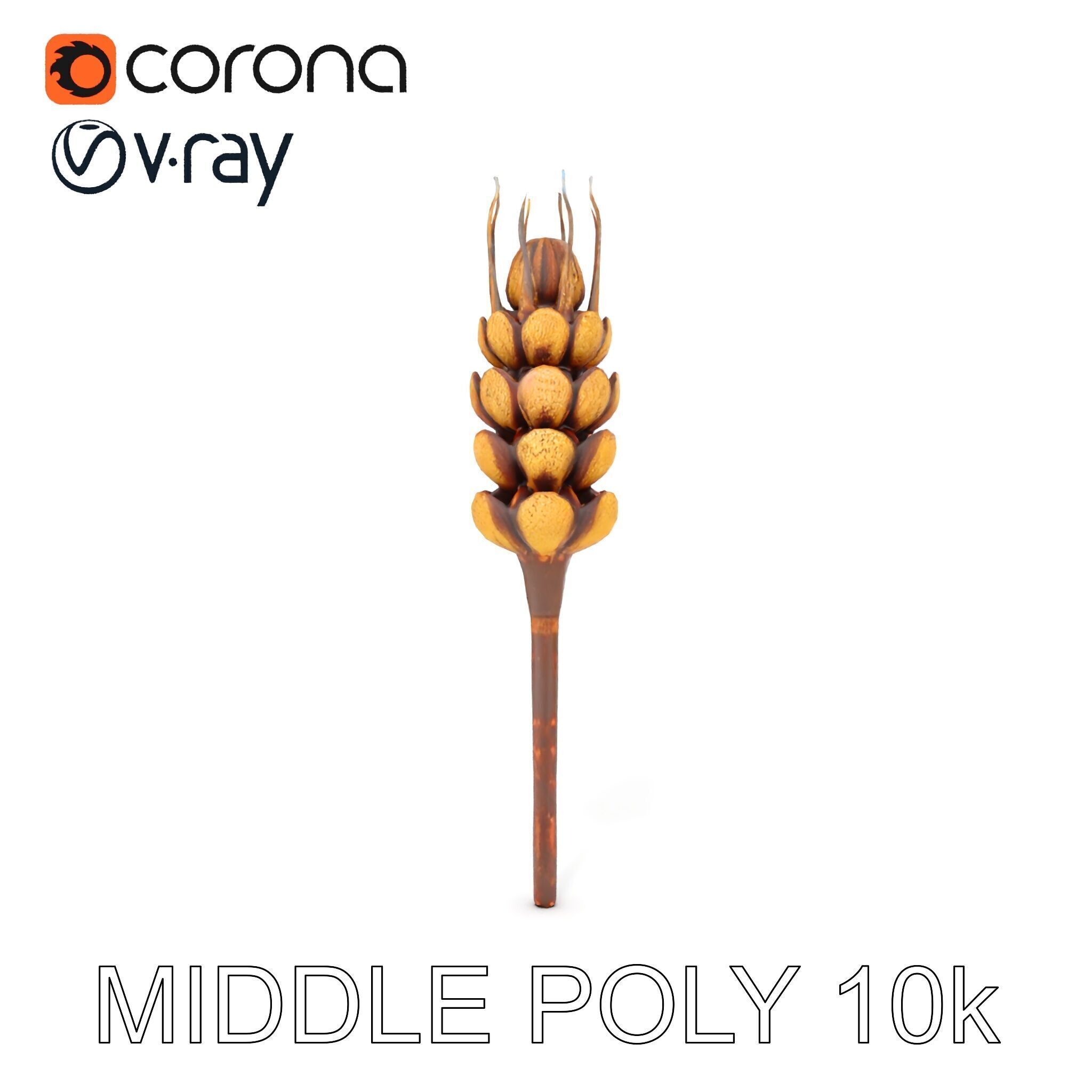Detailed Wheat Ear Model Pack for Realistic Rendering Low-poly 3D model_18