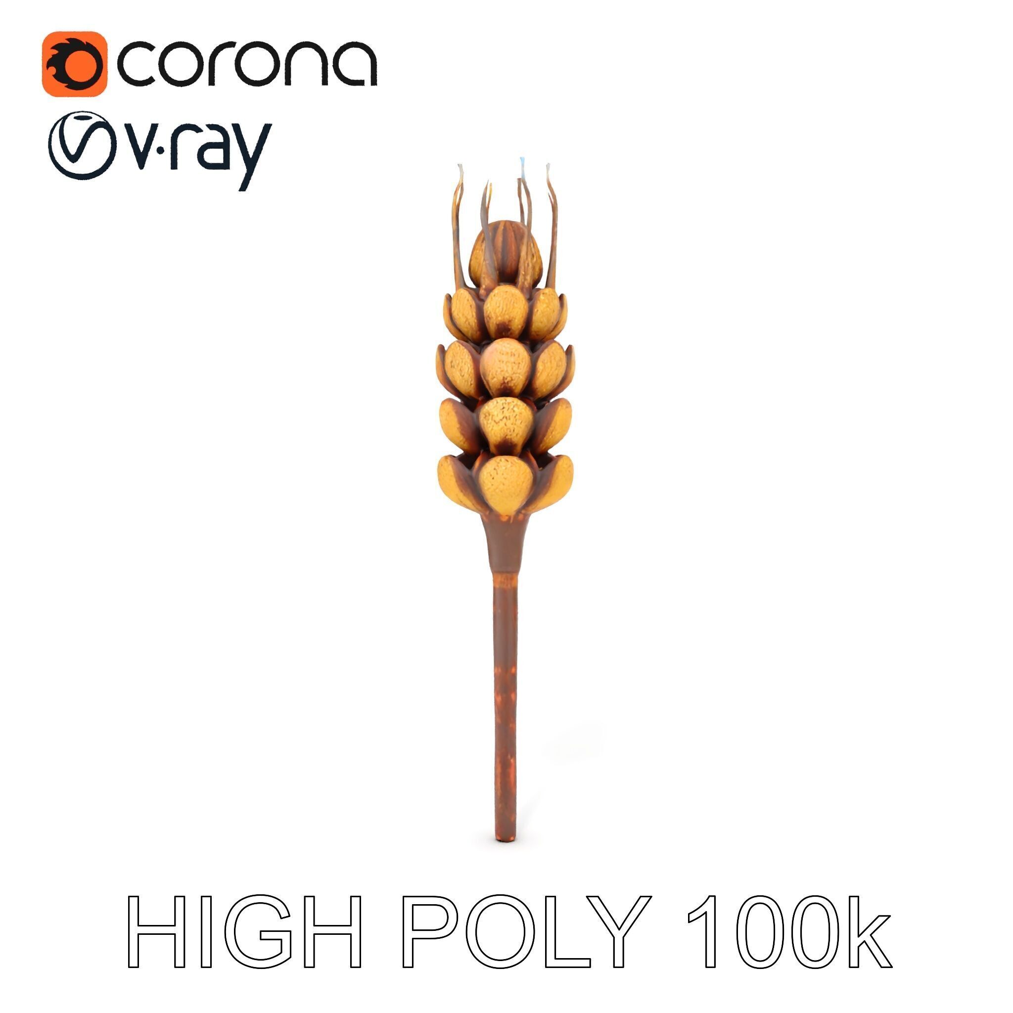 Detailed Wheat Ear Model Pack for Realistic Rendering Low-poly 3D model_20