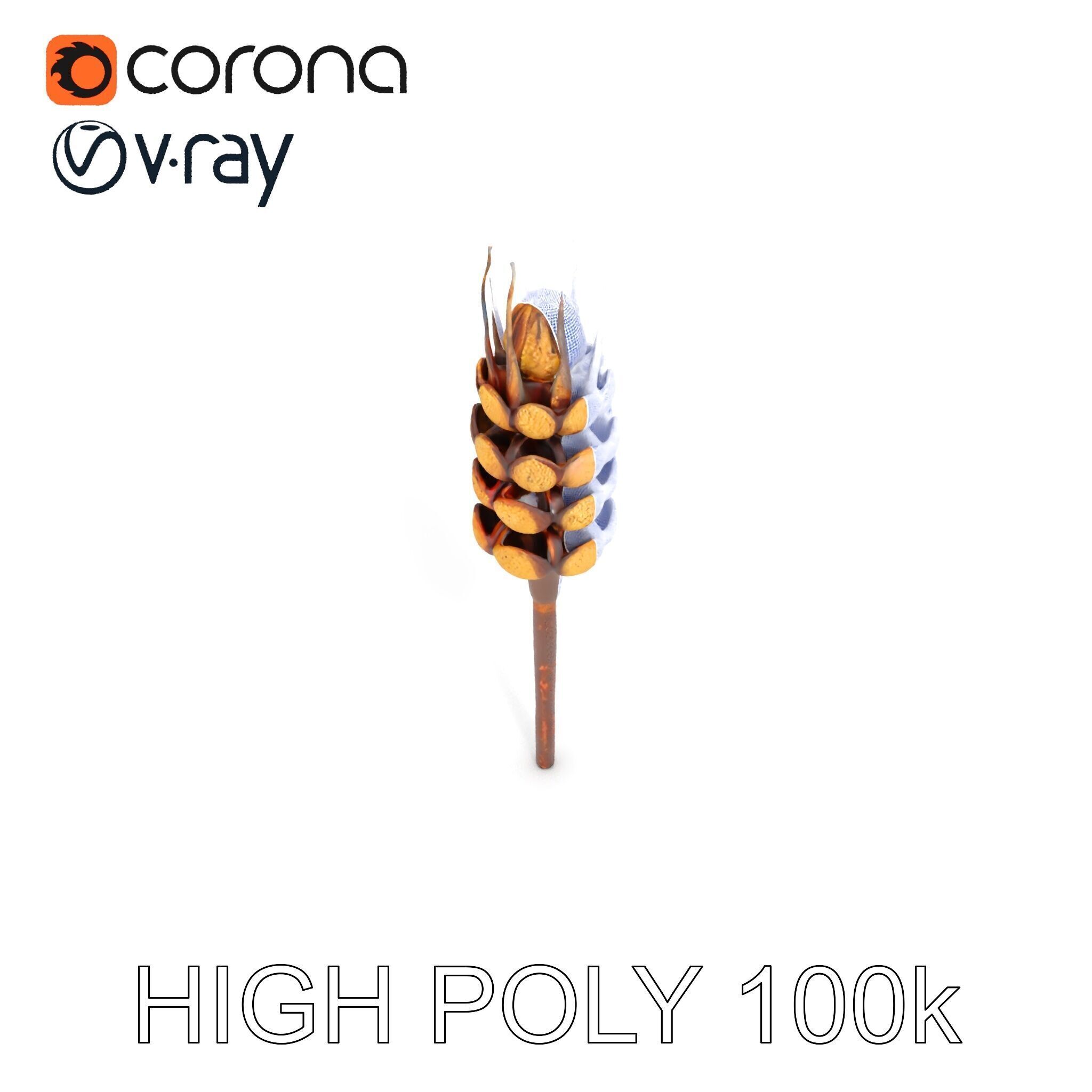 Detailed Wheat Ear Model Pack for Realistic Rendering Low-poly 3D model_29