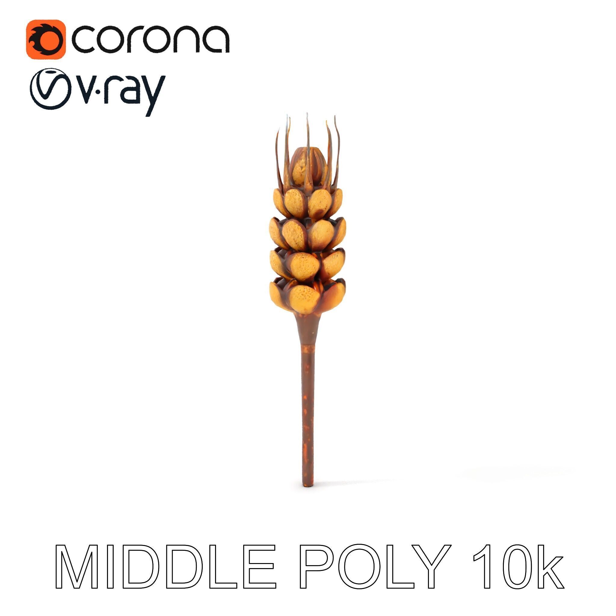 Detailed Wheat Ear Model Pack for Realistic Rendering Low-poly 3D model_12