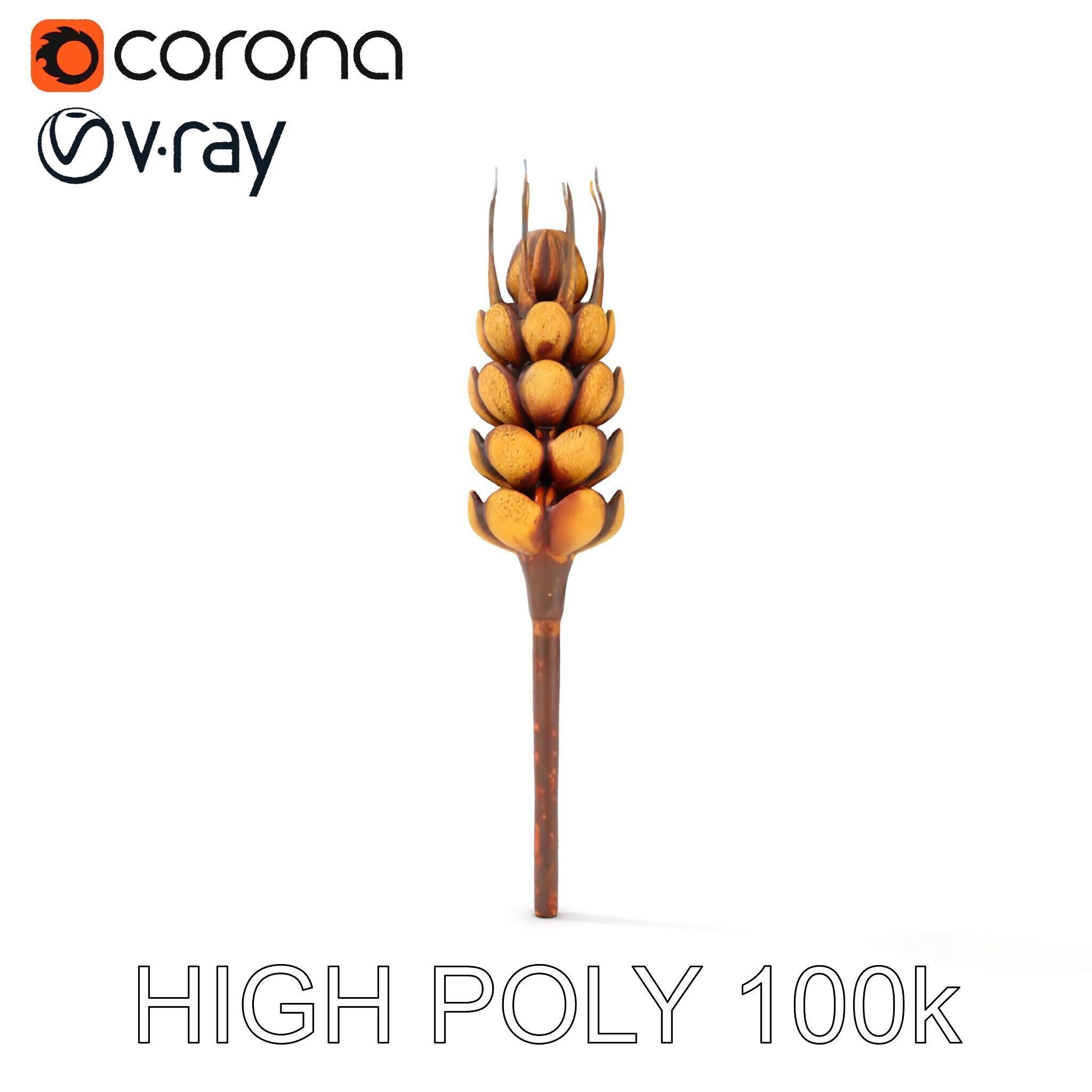 Detailed Wheat Ear Model Pack for Realistic Rendering Low-poly 3D model_32