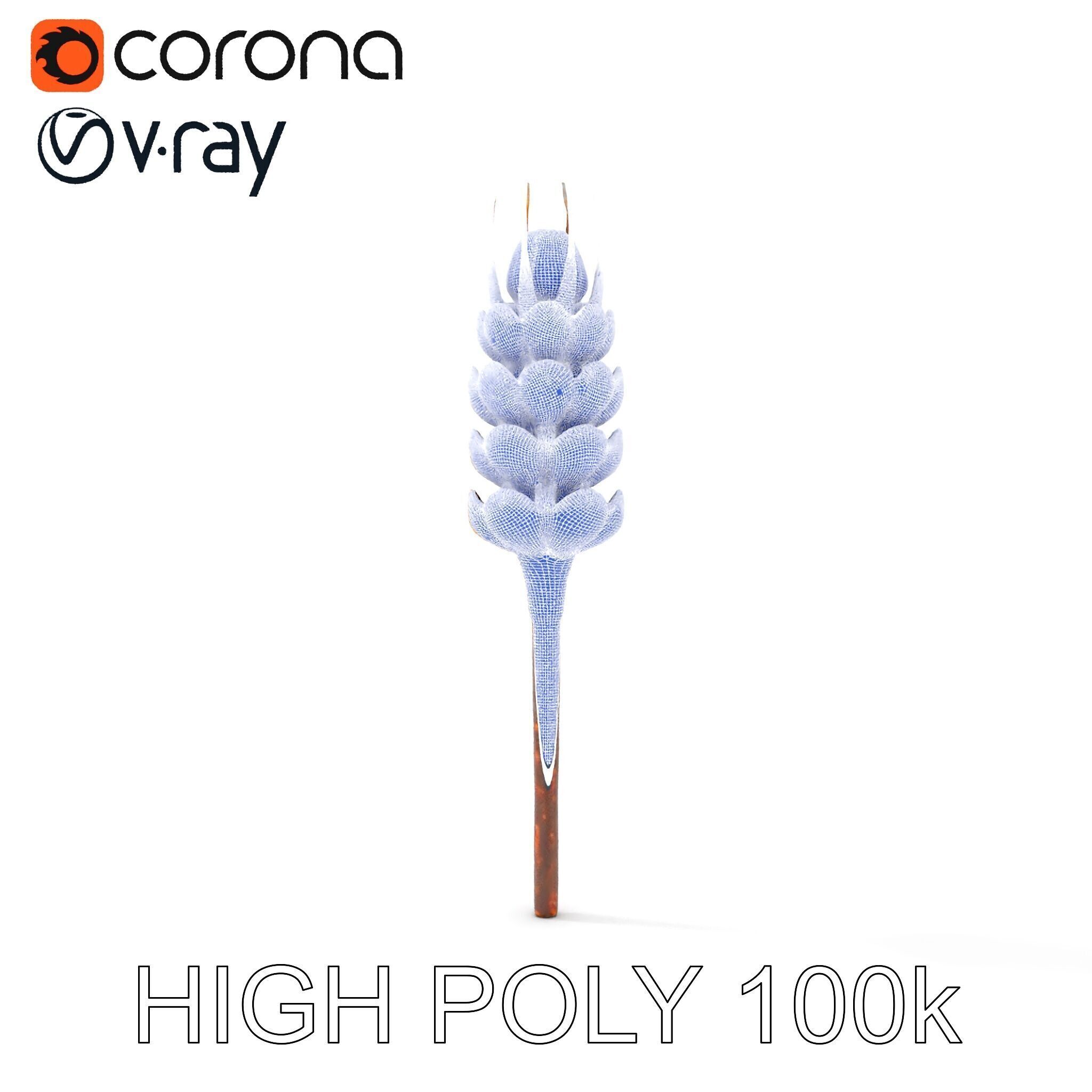 Detailed Wheat Ear Model Pack for Realistic Rendering Low-poly 3D model_26