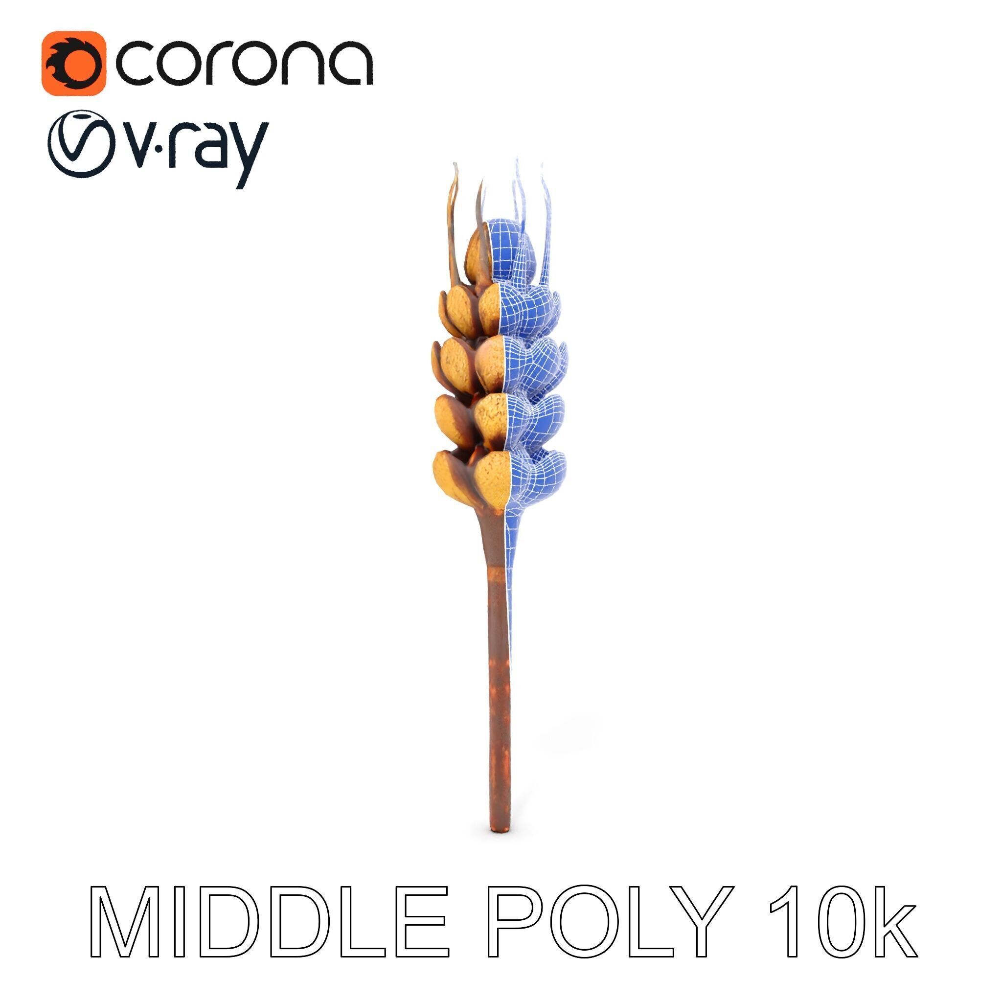 Detailed Wheat Ear Model Pack for Realistic Rendering Low-poly 3D model_27