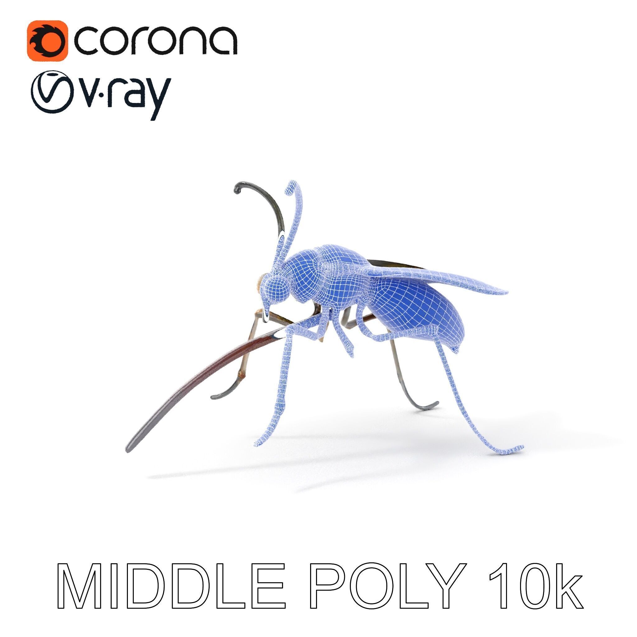 Mechanical Insect Model Pack with Textured Metallic Surface Low-poly 3D model_30
