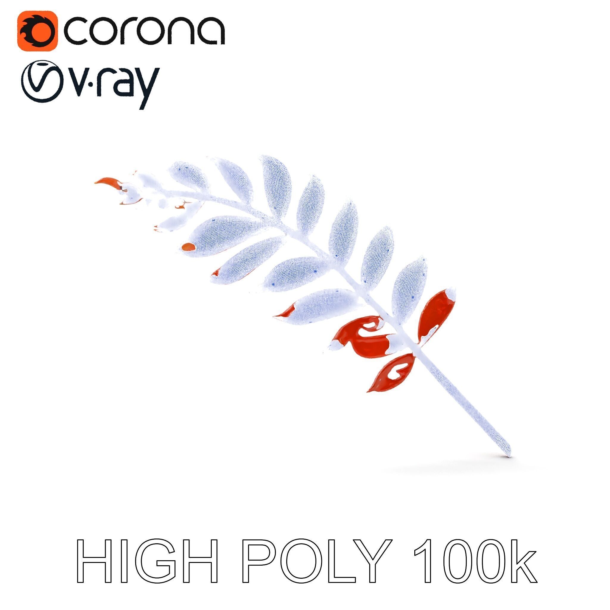 Detailed Botanical Leaf Model Pack Low-poly 3D model_35