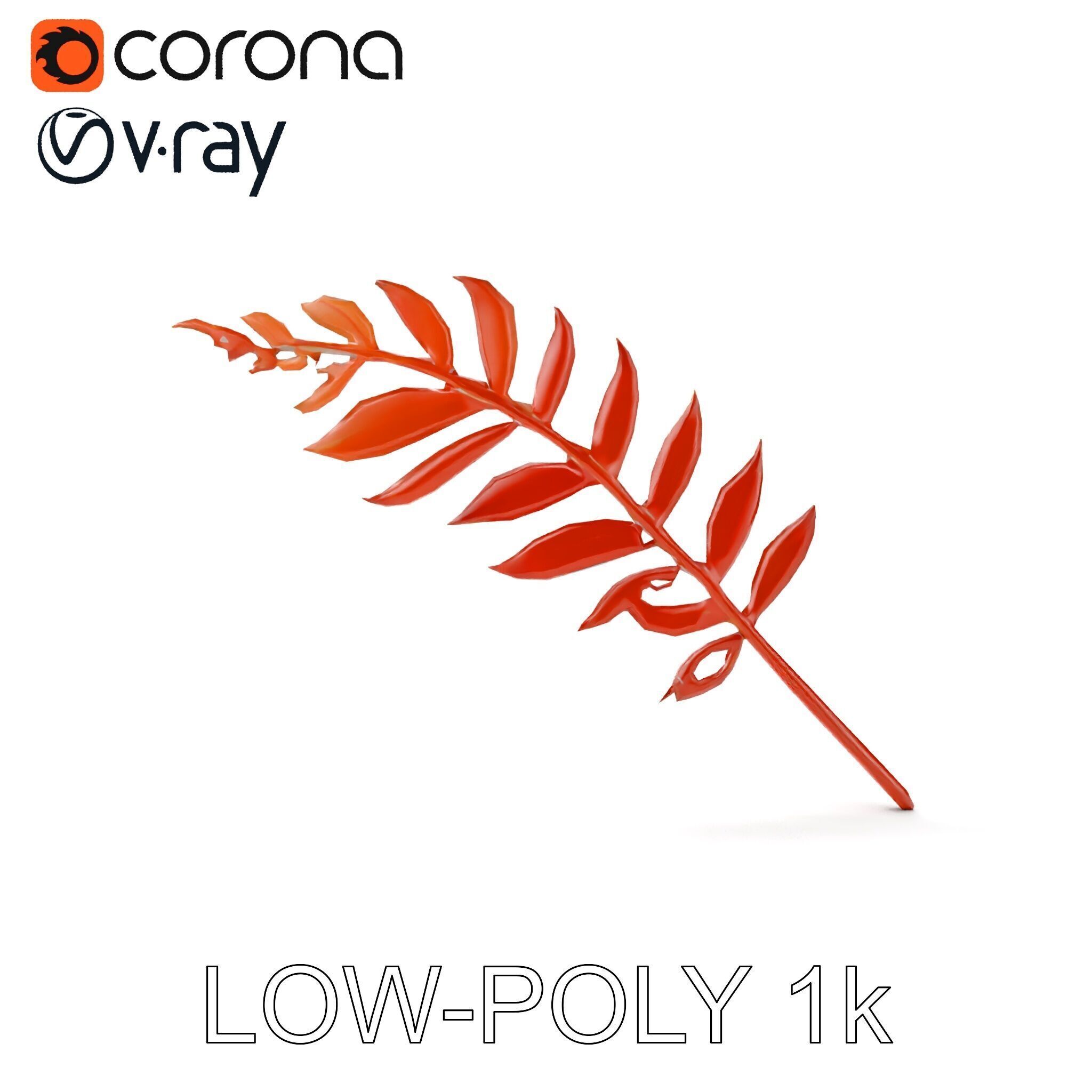 Detailed Botanical Leaf Model Pack Low-poly 3D model_17