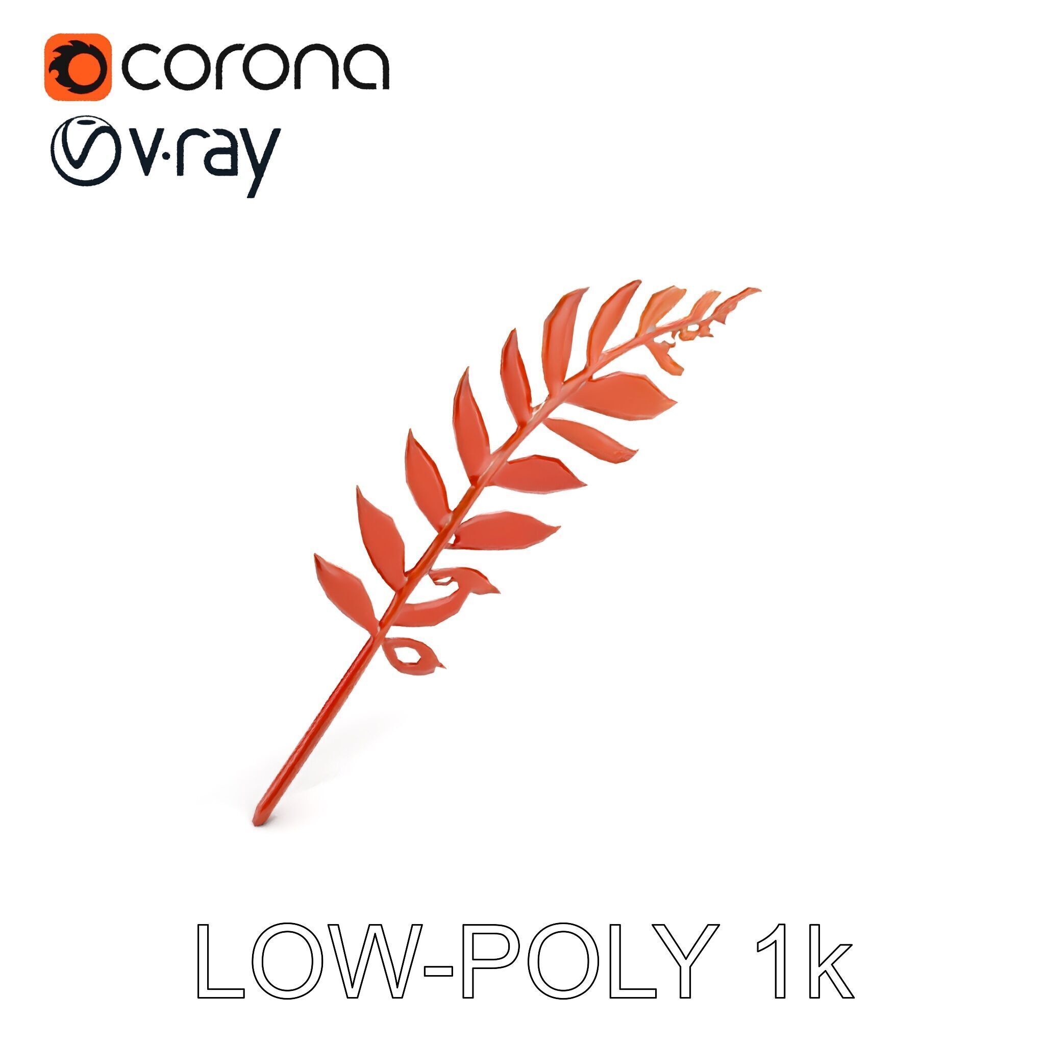 Detailed Botanical Leaf Model Pack Low-poly 3D model_9