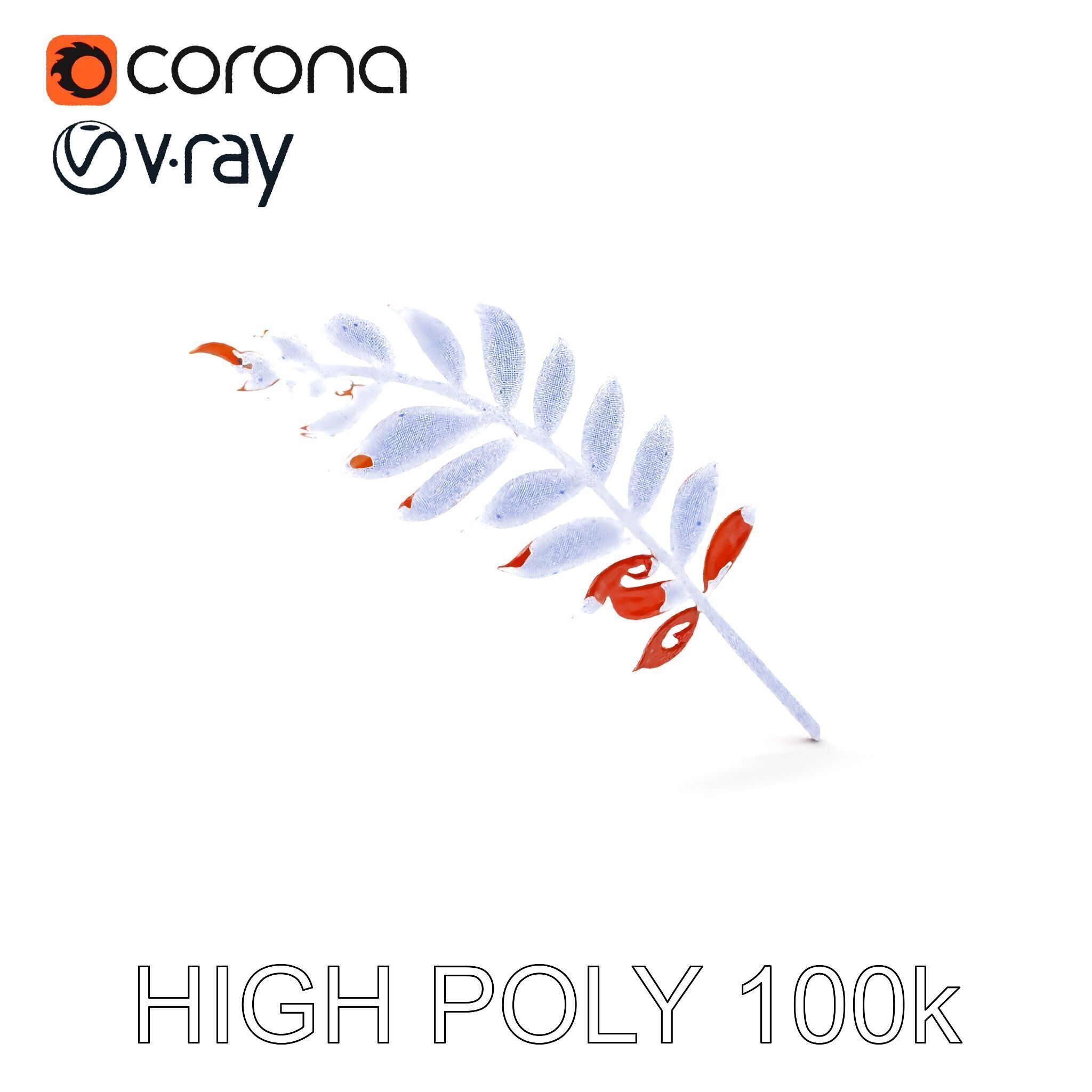 Detailed Botanical Leaf Model Pack Low-poly 3D model_4