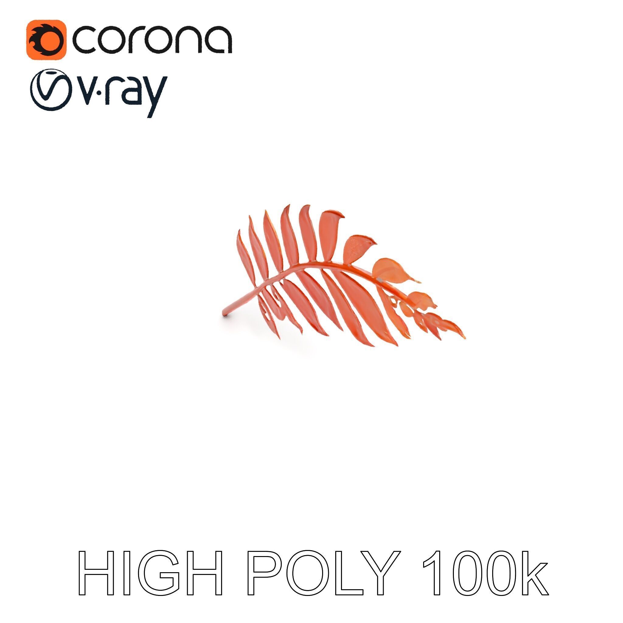 Detailed Botanical Leaf Model Pack Low-poly 3D model_26