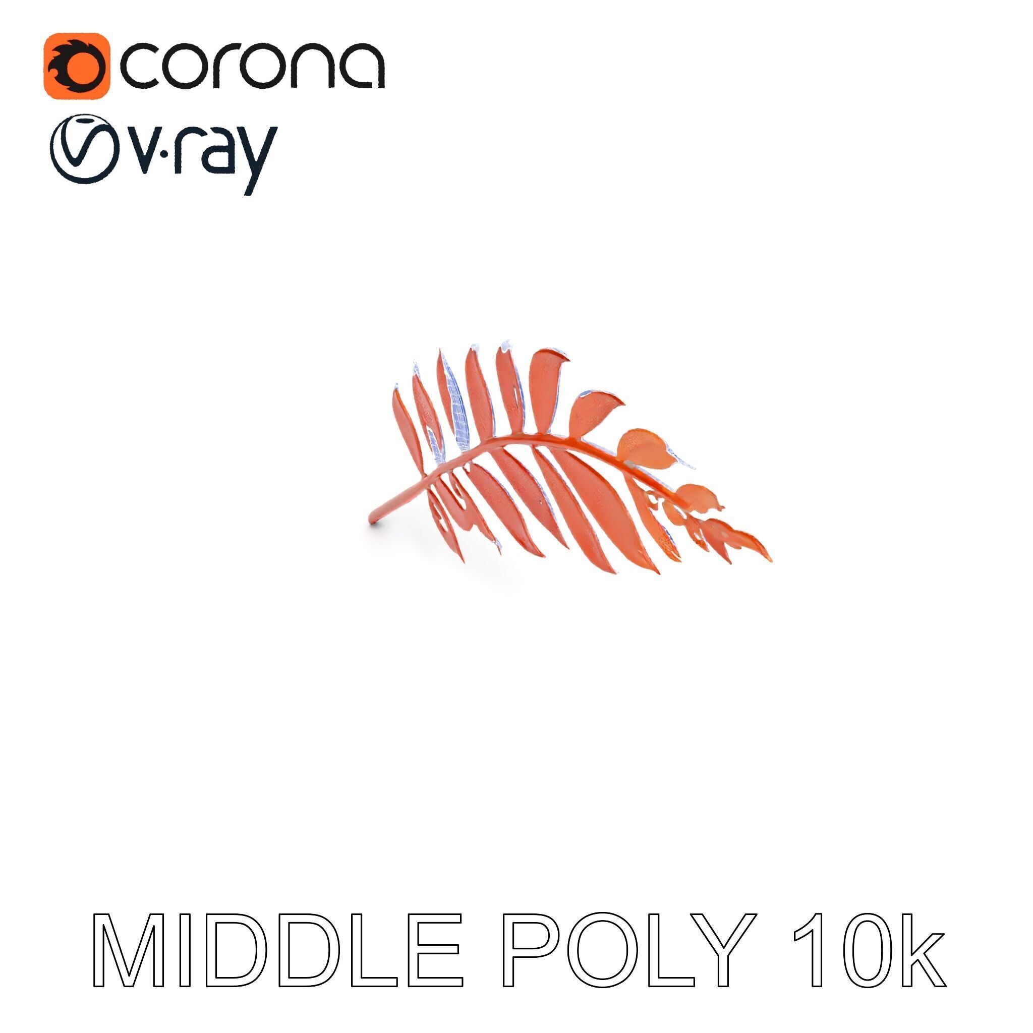 Detailed Botanical Leaf Model Pack Low-poly 3D model_27