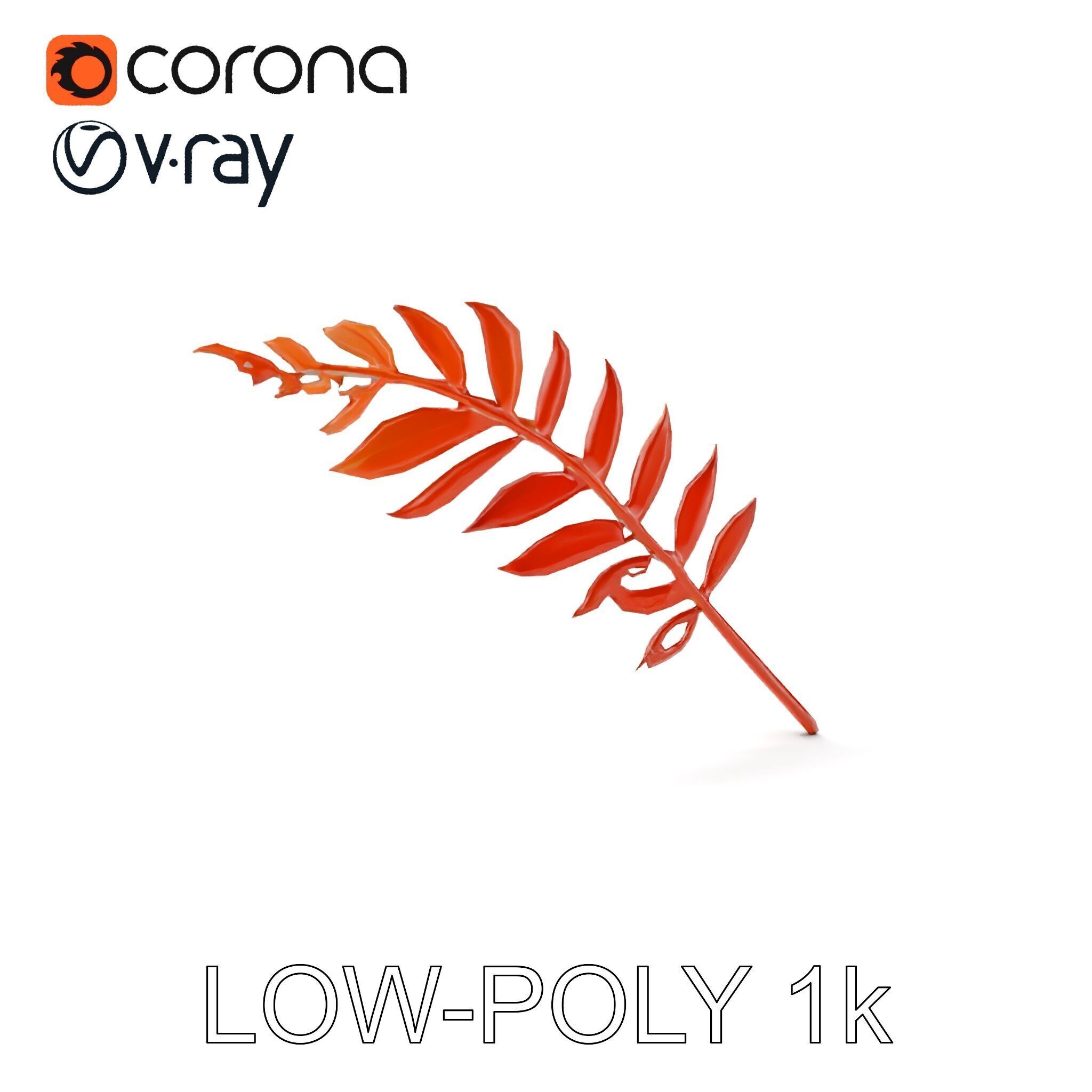 Detailed Botanical Leaf Model Pack Low-poly 3D model_7