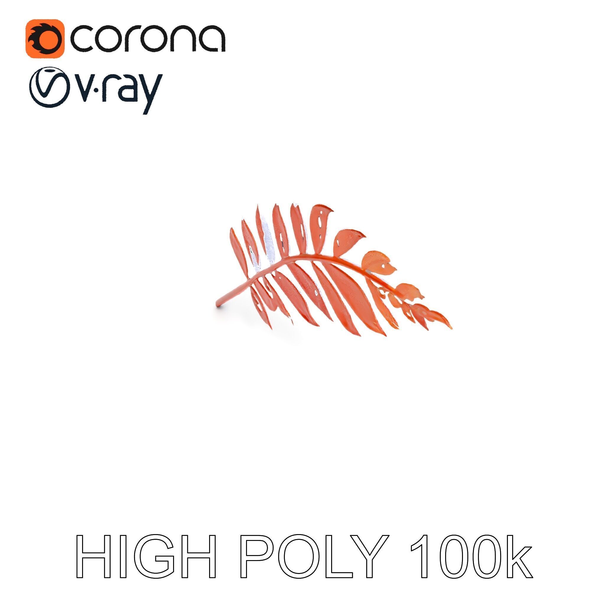 Detailed Botanical Leaf Model Pack Low-poly 3D model_32