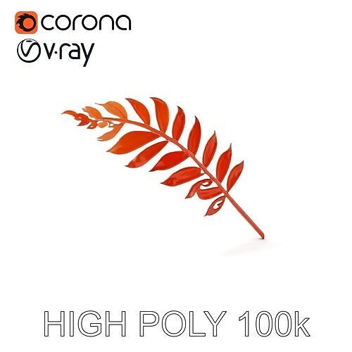 Detailed Botanical Leaf Model Pack Low-poly 3D model