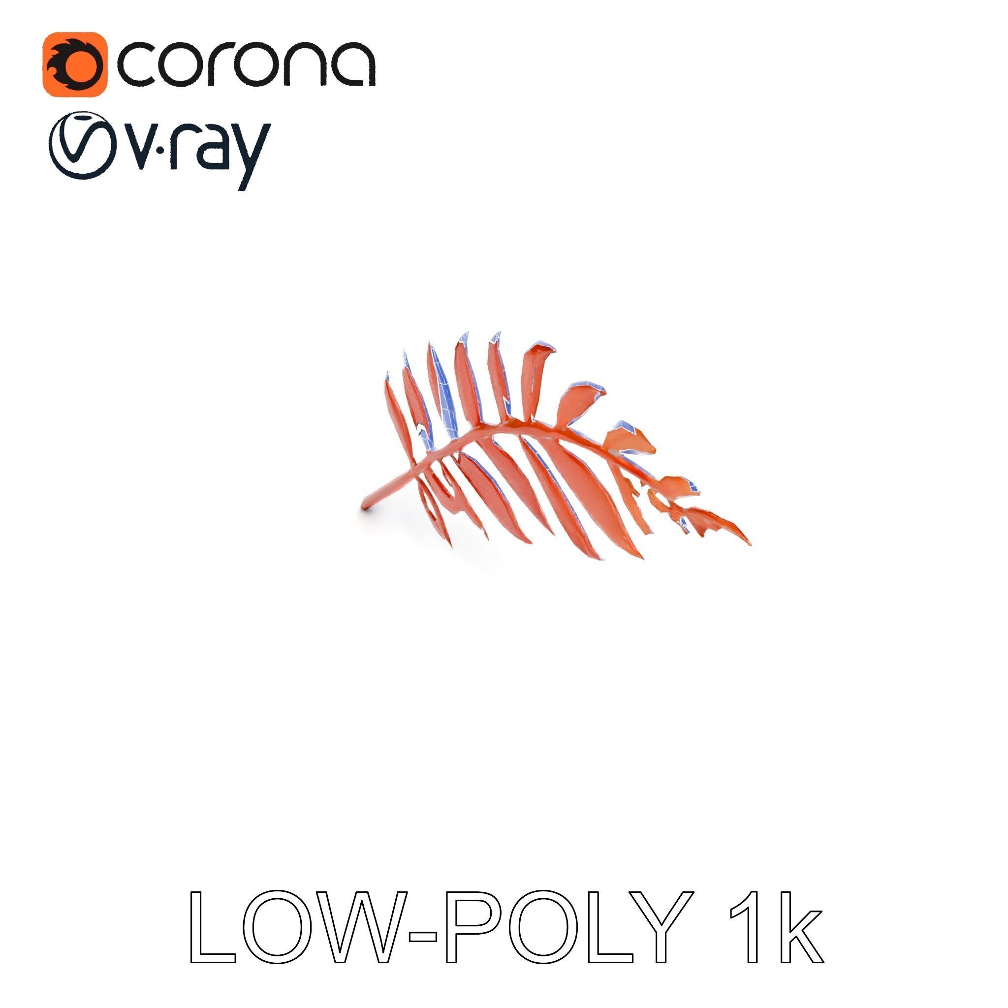 Detailed Botanical Leaf Model Pack Low-poly 3D model_31