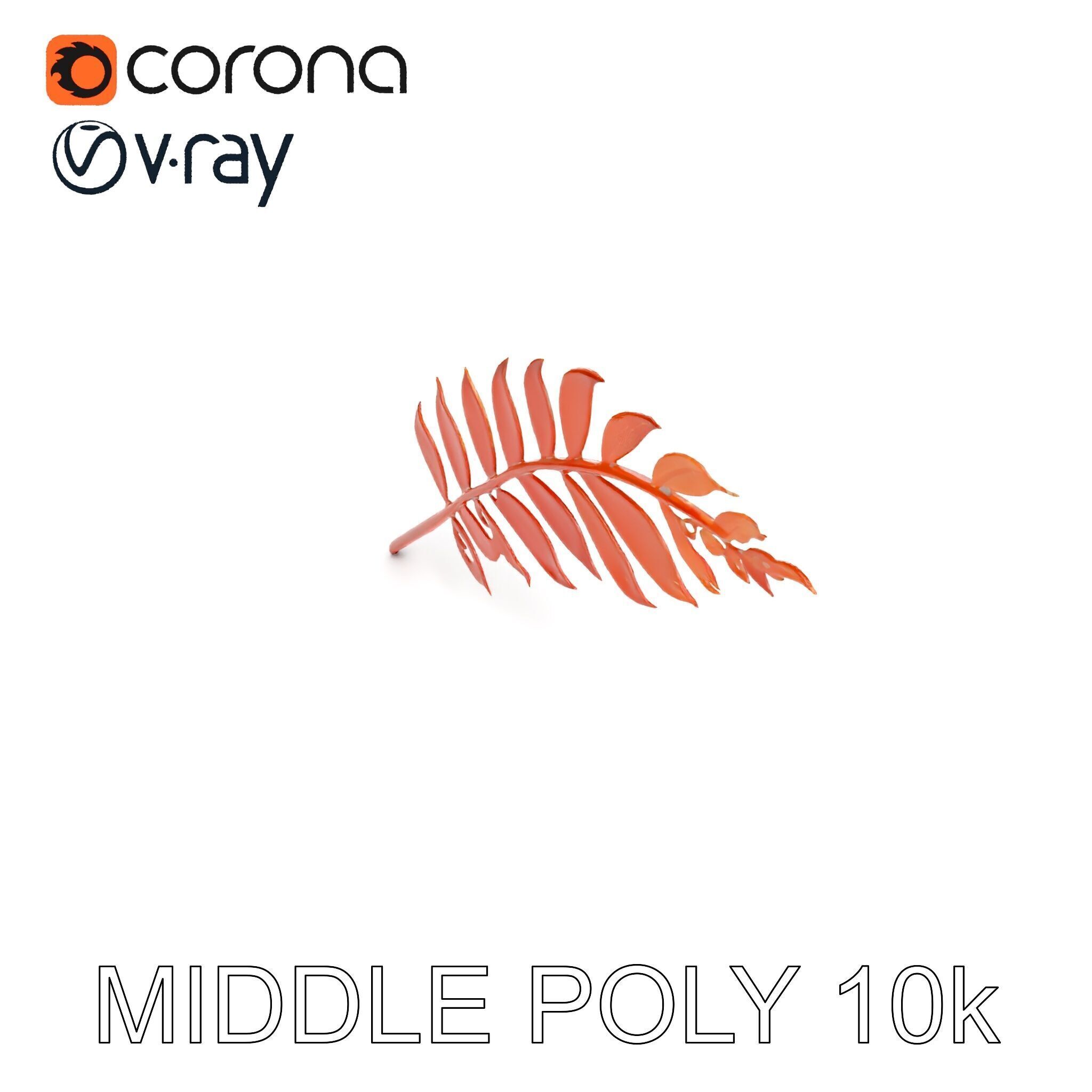 Detailed Botanical Leaf Model Pack Low-poly 3D model_8